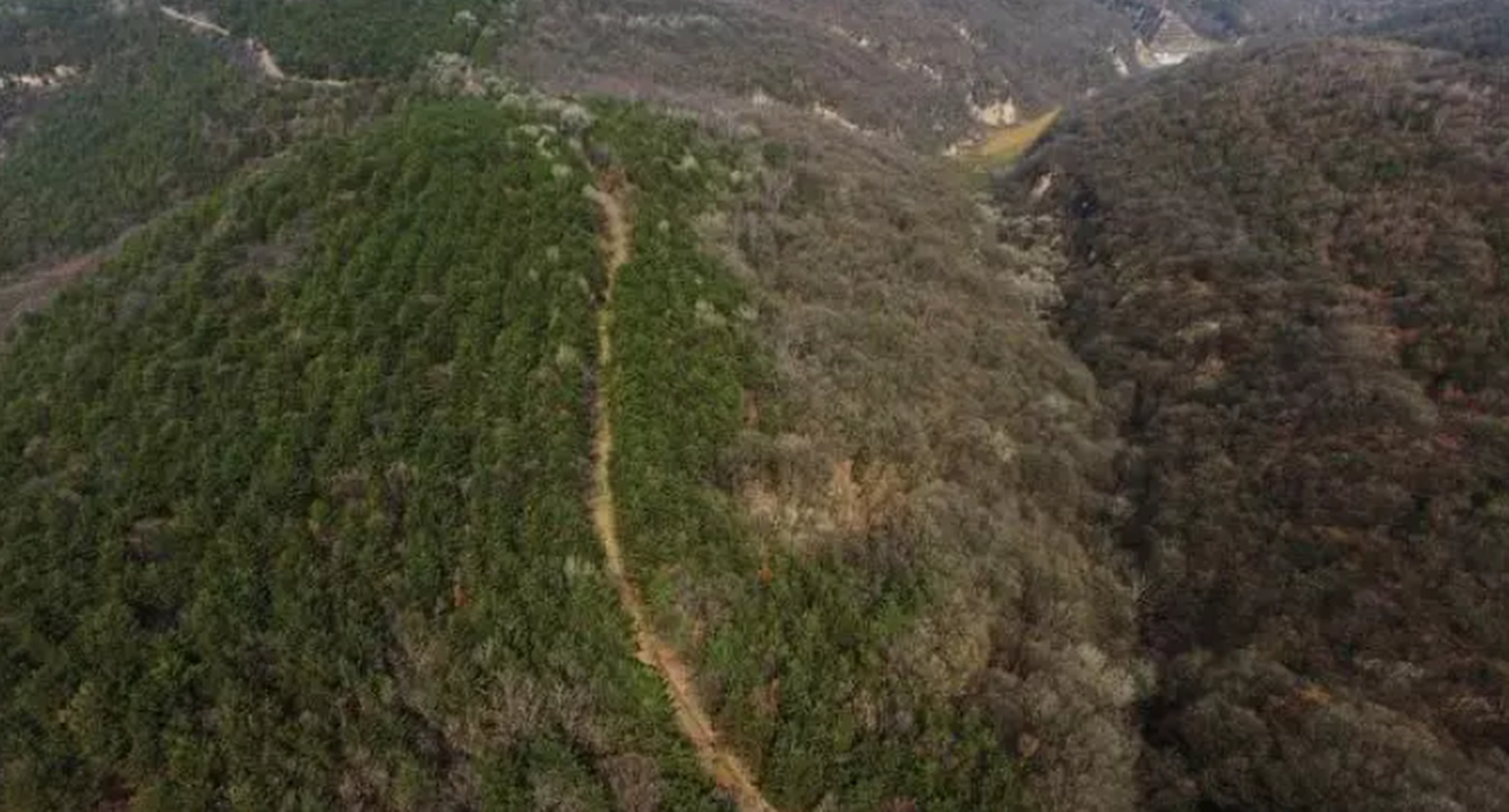 A previously identified section of the road. Archaelogists are slowly piecing togther the whole route. Photo: Handout