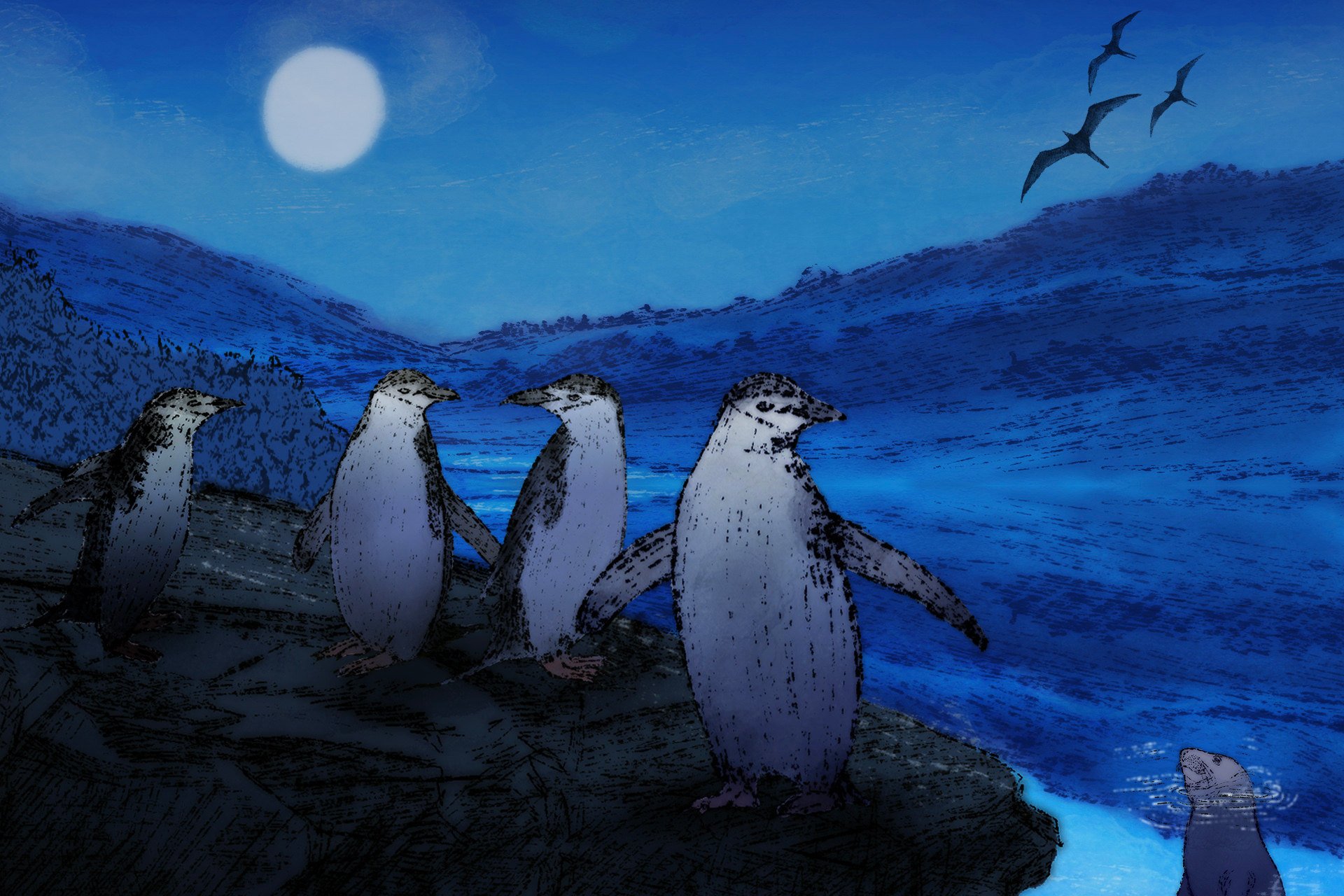 Have you ever wondered how animals have adapted to predators and danger? Illustration: AP