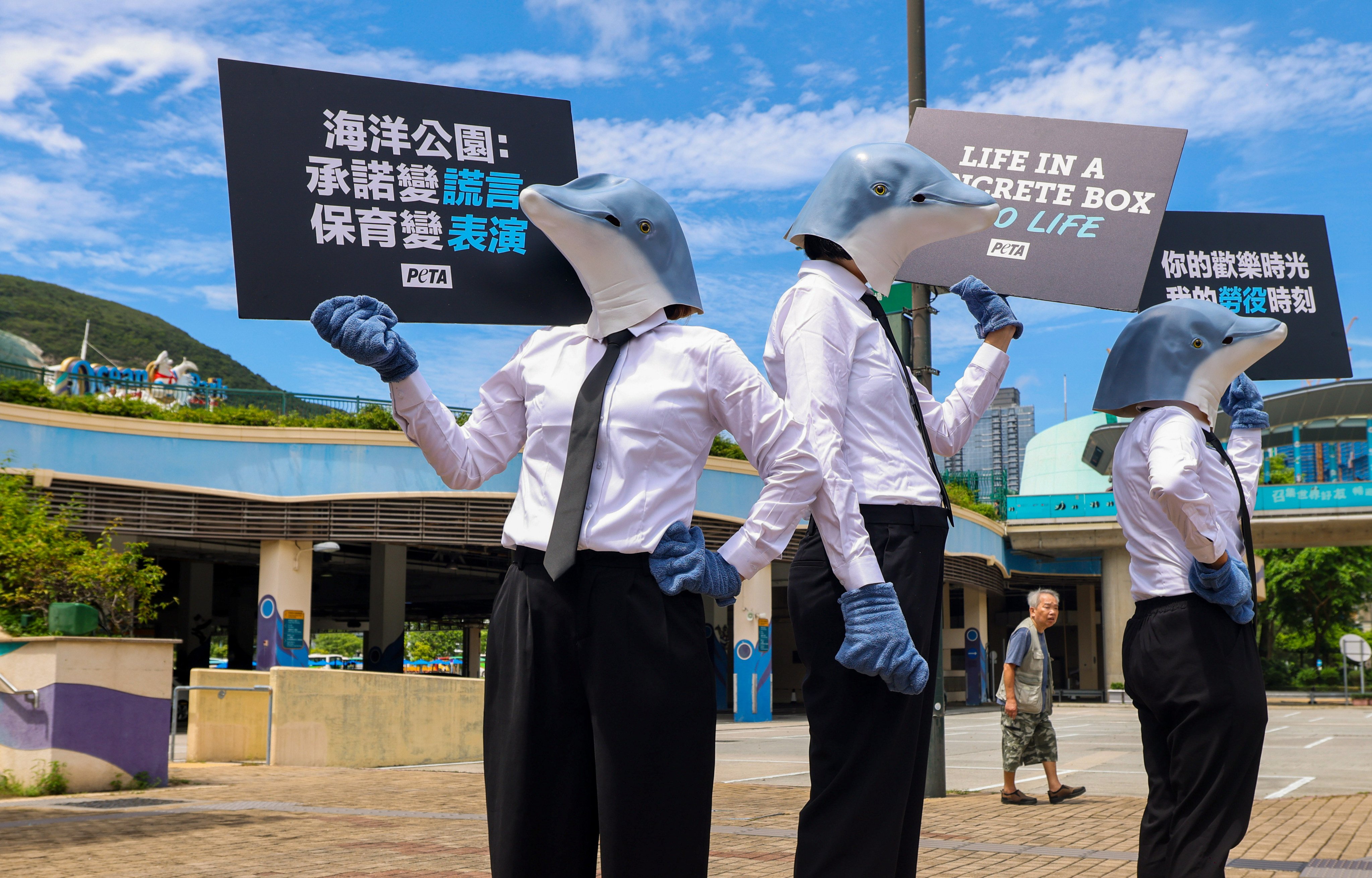 Peta members wearing dolphin masks protest against the Ocean Park’s dolphin shows on August 20. Photo: Nora Tam