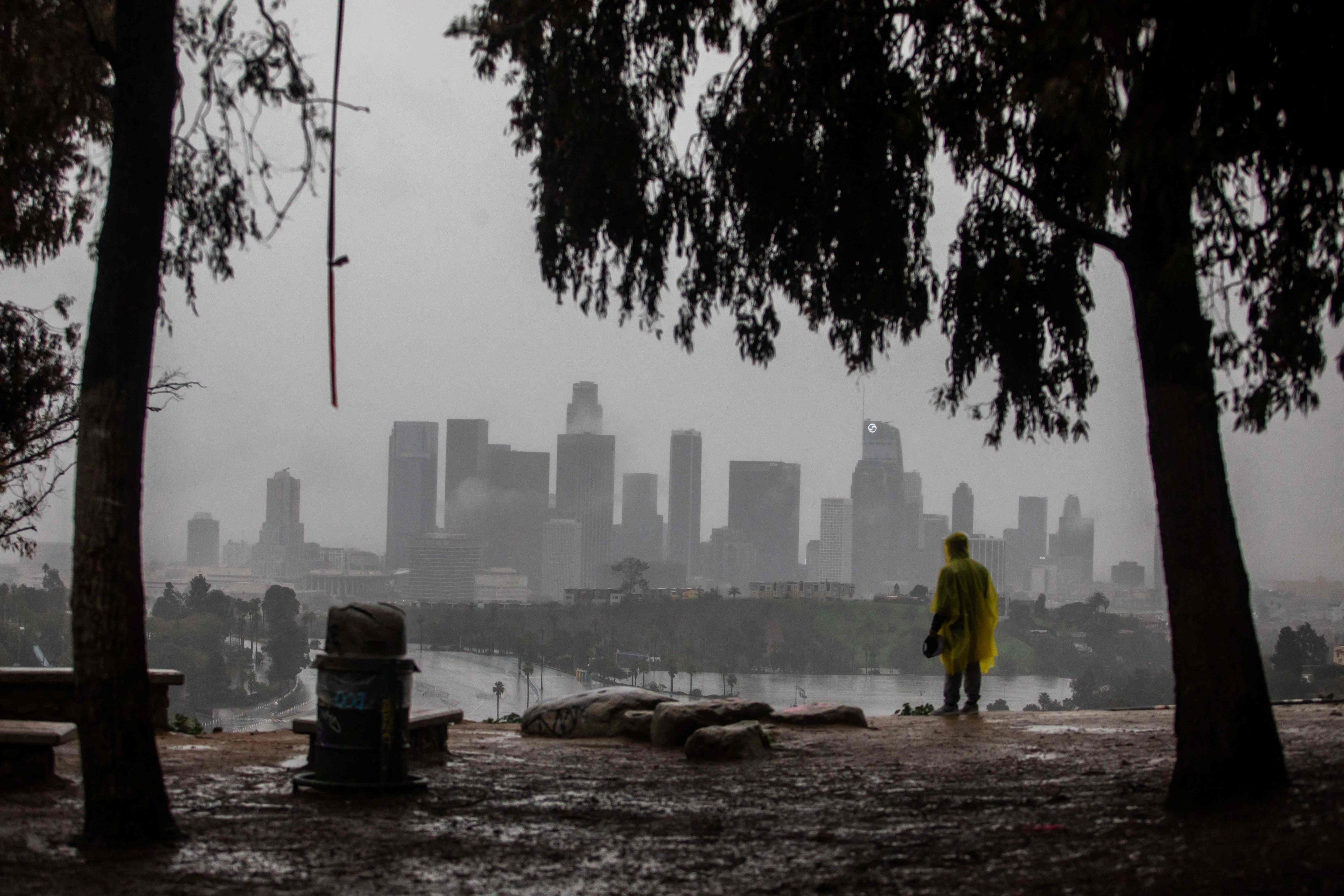 The scene in Elysian Park, Los Angeles on Wednesday. Photo: AFP