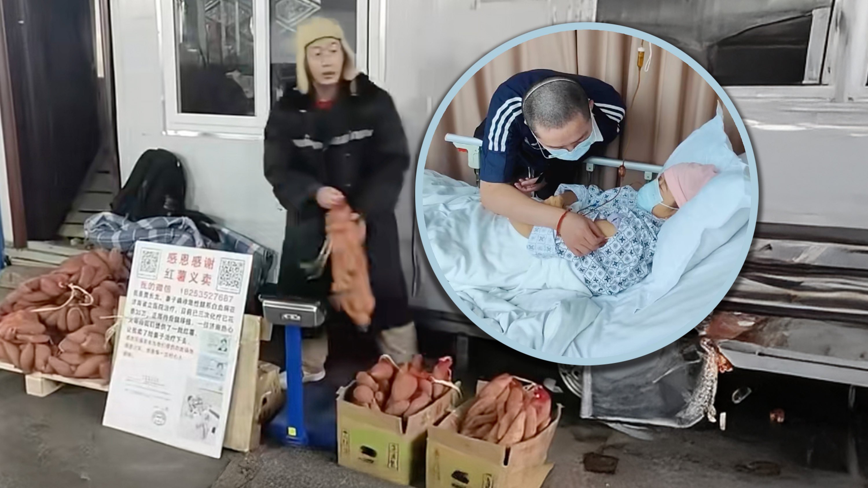 A woman in China with leukaemia who needed US$285,000 for her treatment, gets 50 tonnes of sweet potatoes after her husband tearfully pleaded for help online. Photo: SCMP composite/Douyin