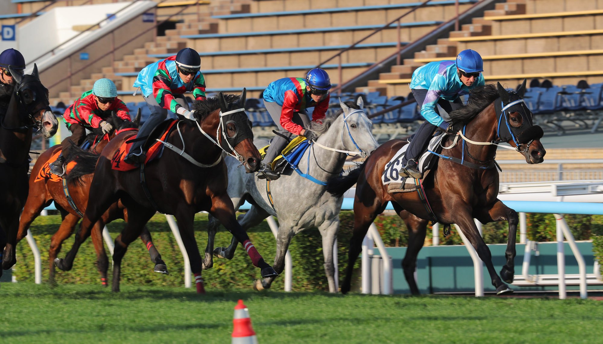 Lo Rider (right) trials impressively at Sha Tin on December 16. Lo Rider (right) trials impressively at Sha Tin on December 16.