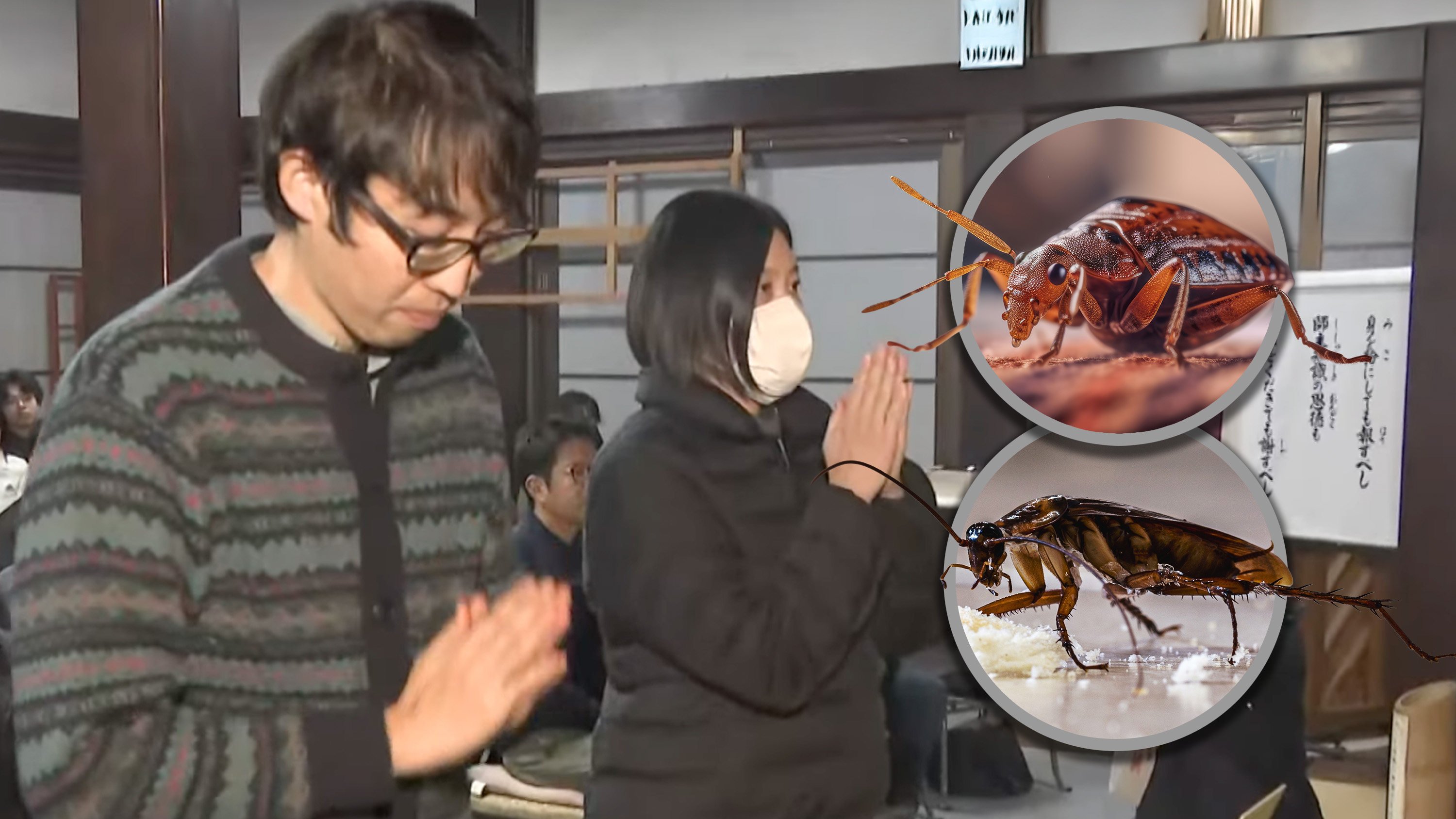 A Japanese insecticide company holds an annual memorial service to honour the insects it killed during product testing. Photo: SCMP composite/Shutterstock/YouTube