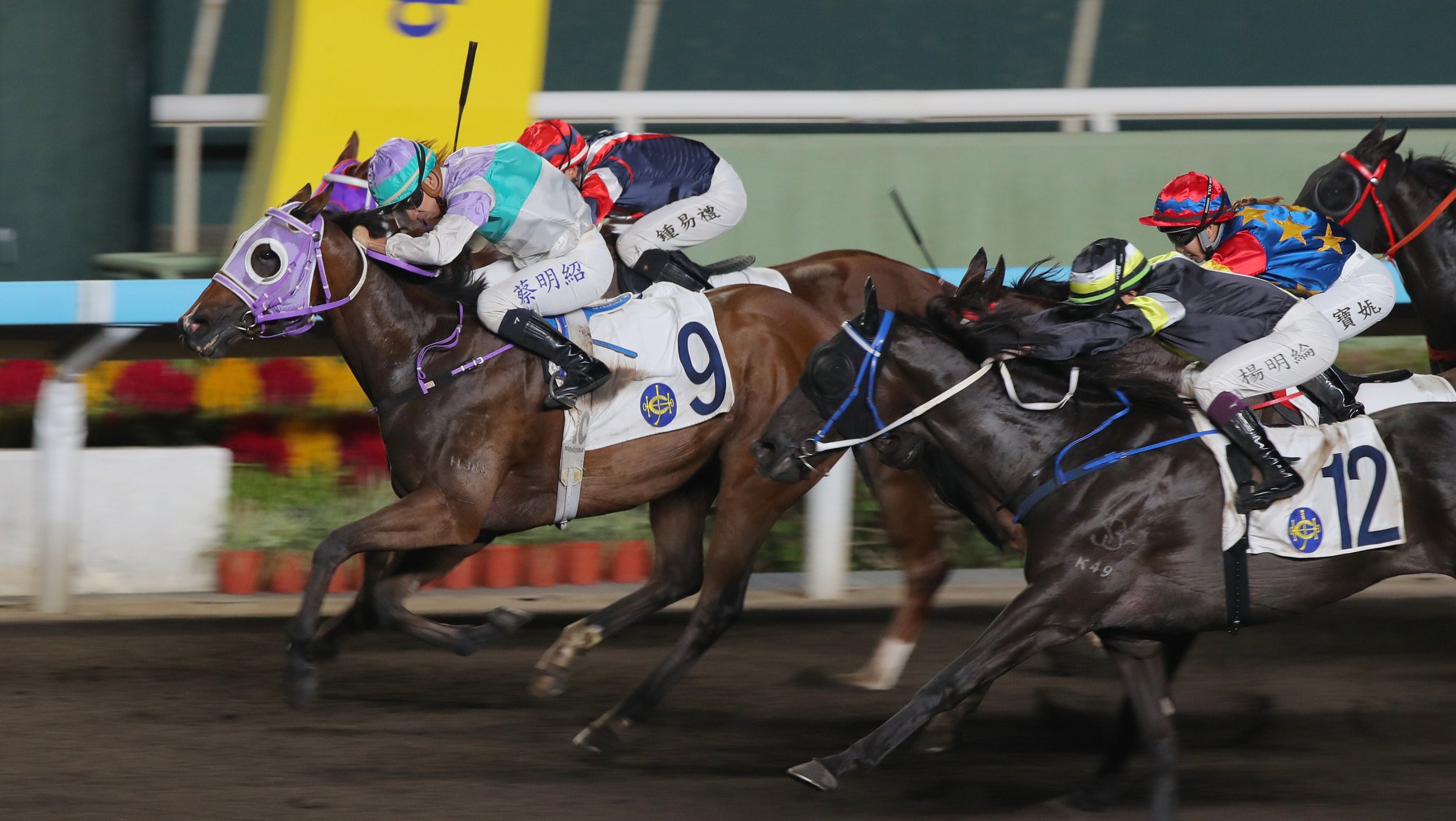 No Other Choice (outside) steams home to run second last start. No Other Choice (outside) steams home to run second last start.