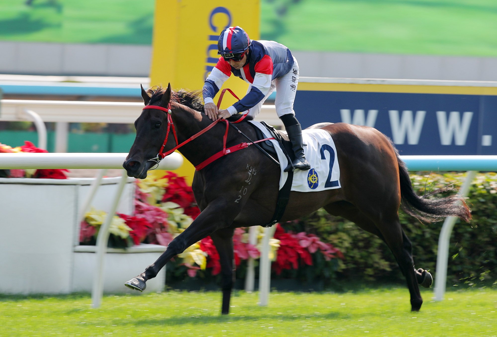 Salon S wins easily at Sha Tin.