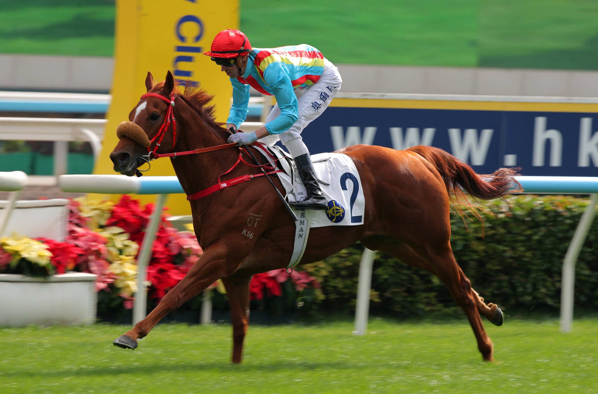 James Orman boots home Aurio.