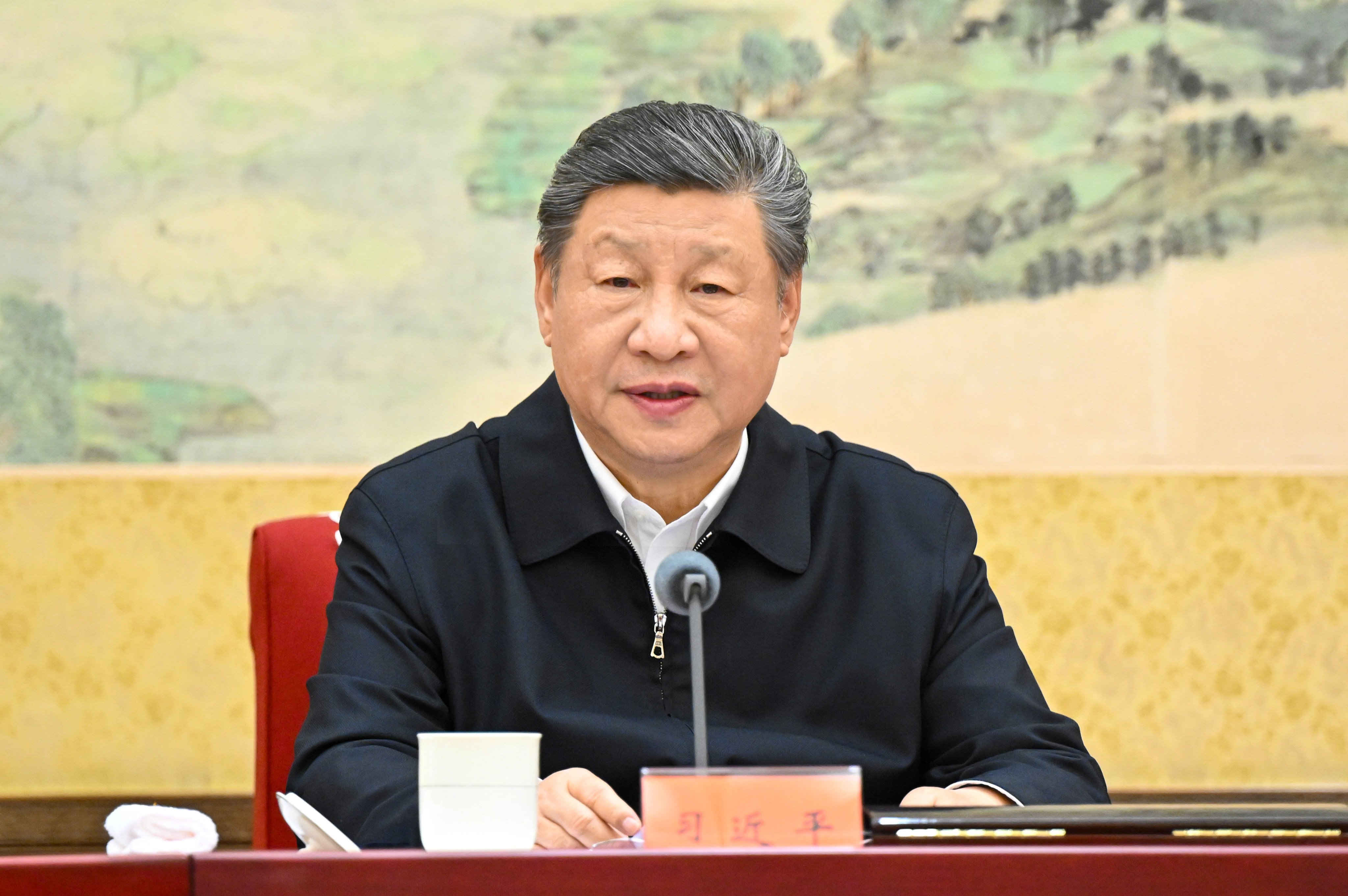 President Xi Jinping has long called for boosting China’s food security, calling it a “political responsibility”. Photo: Xinhua
