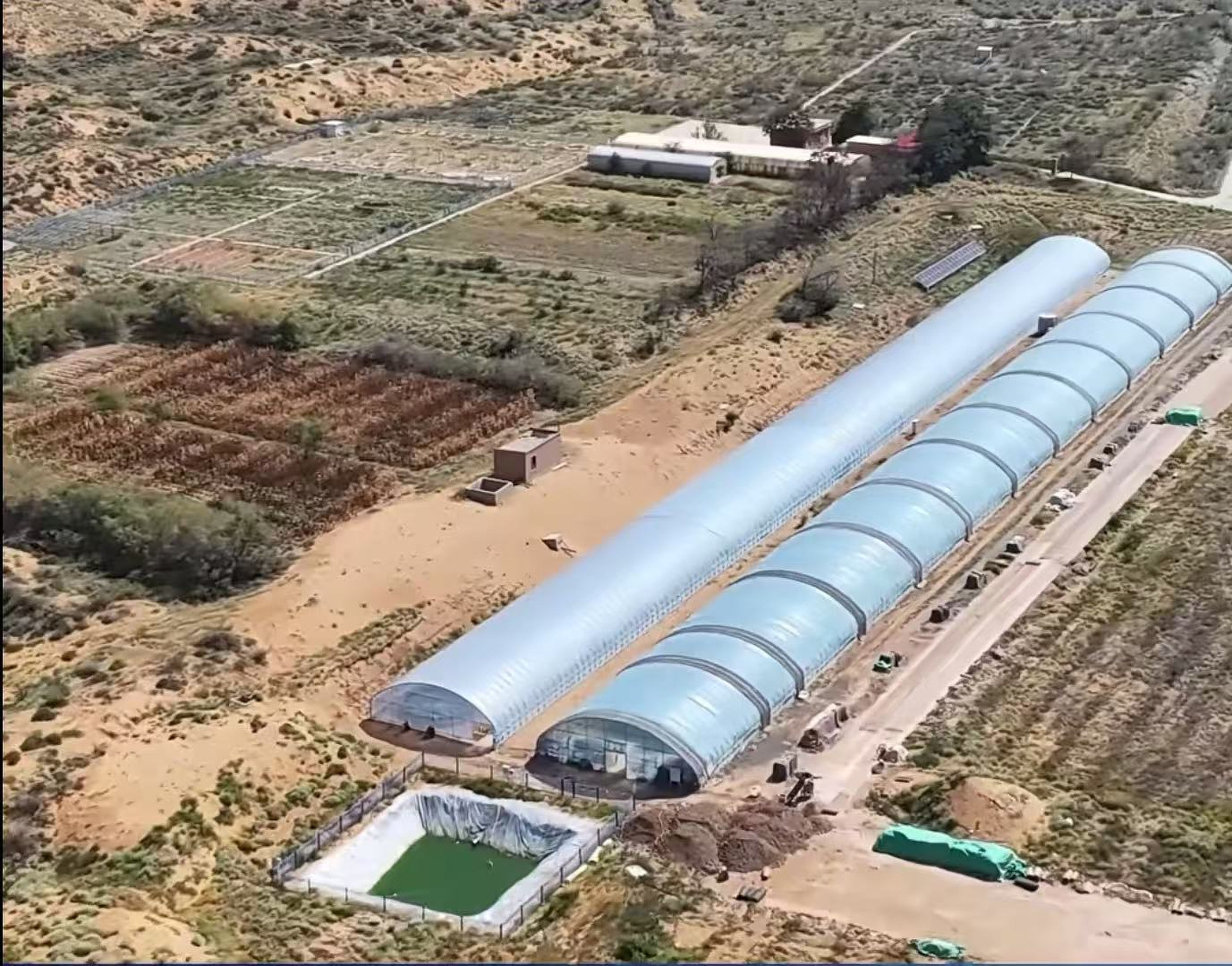 Researchers at Shapotou Desert Experimental Research Station in northwest China’s Ningxia Hui autonomous region have created a technique using cyanobacteria to form a biomass-rich crust over desert sand. Photo: China Science Daily