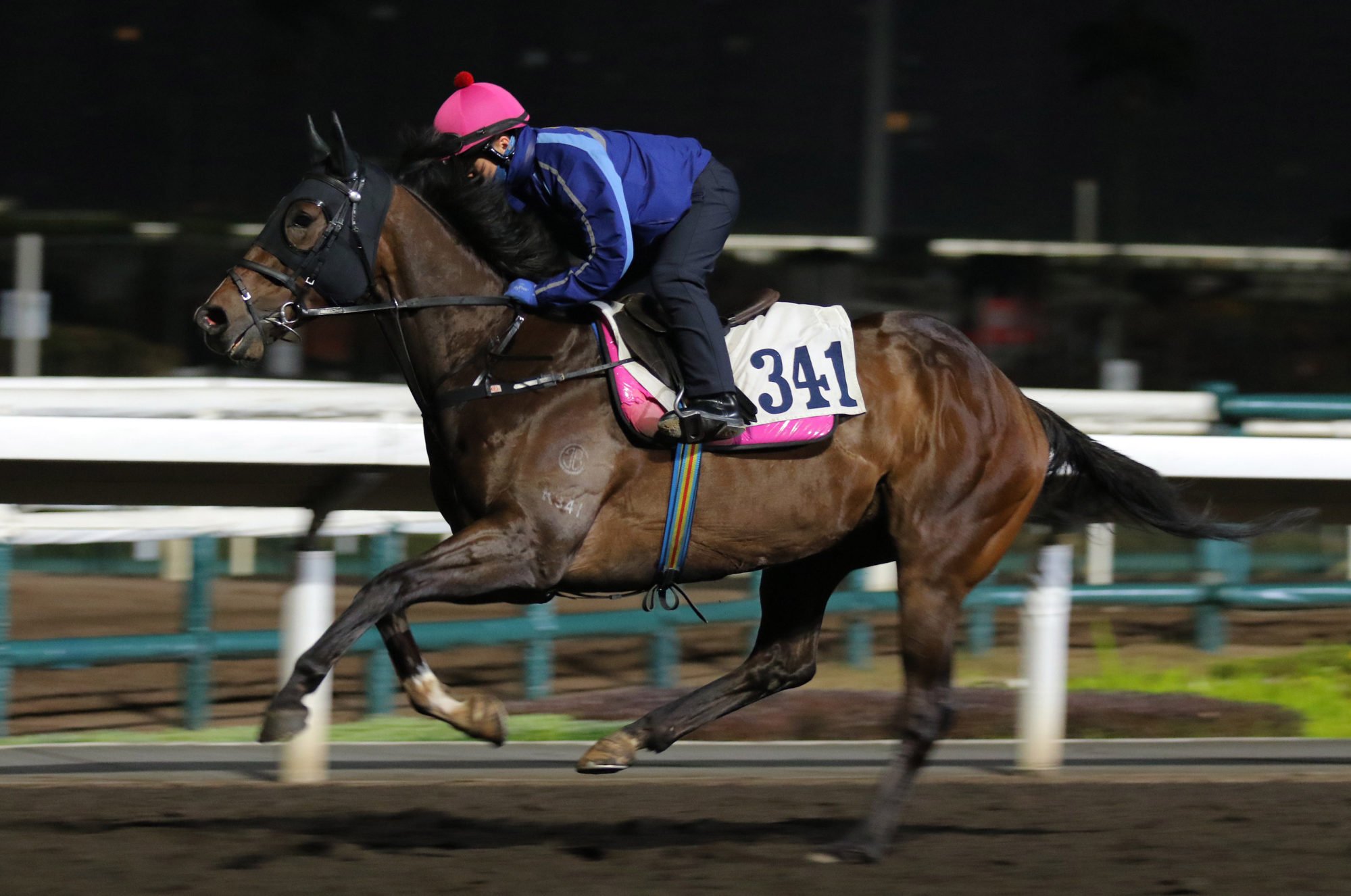 The Golden Knight gallops at Sha Tin.