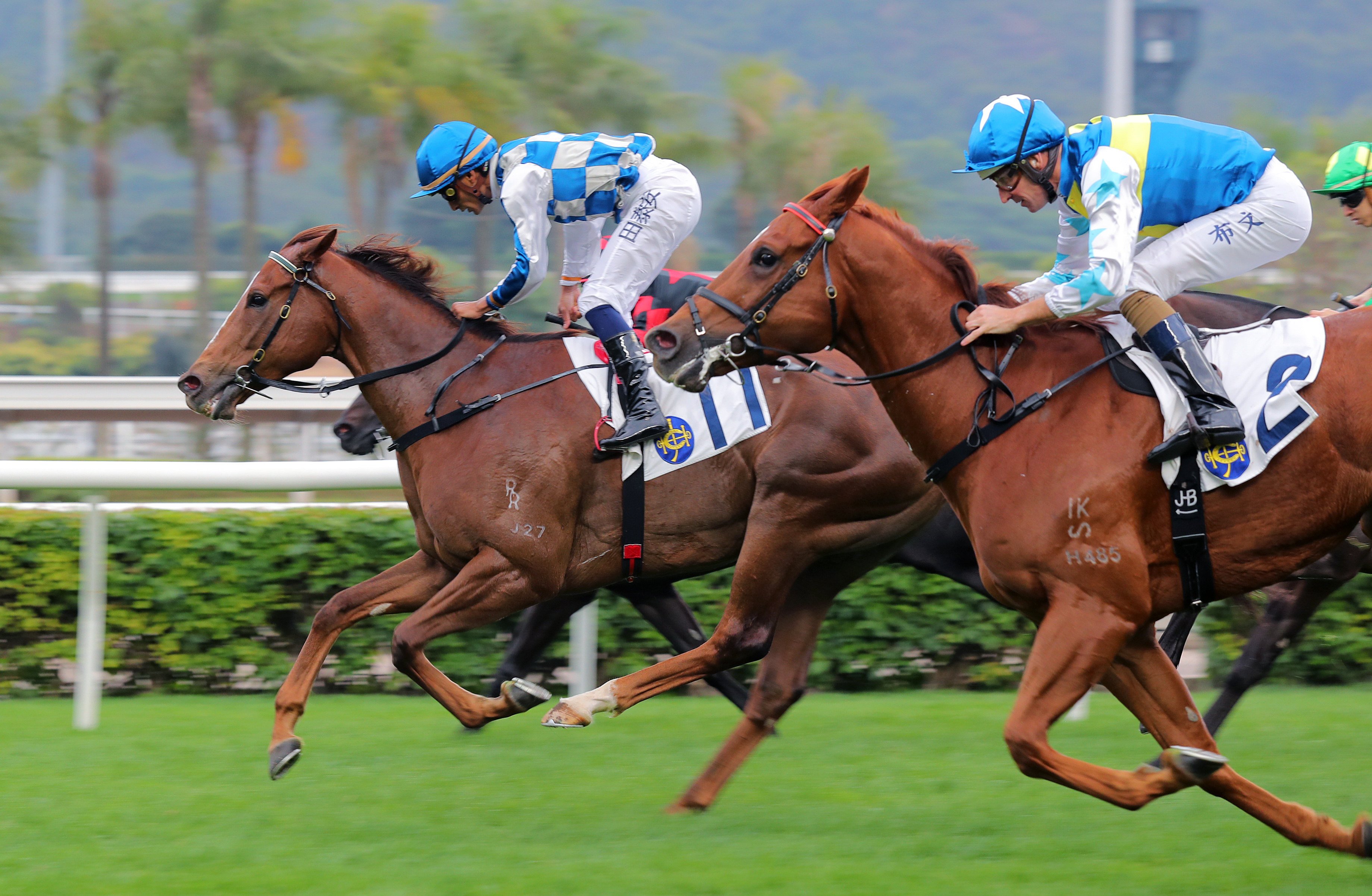 Storm Rider surges home to win the Chinese Club Challenge Cup under Karis Teetan. Photos: Kenneth Chan