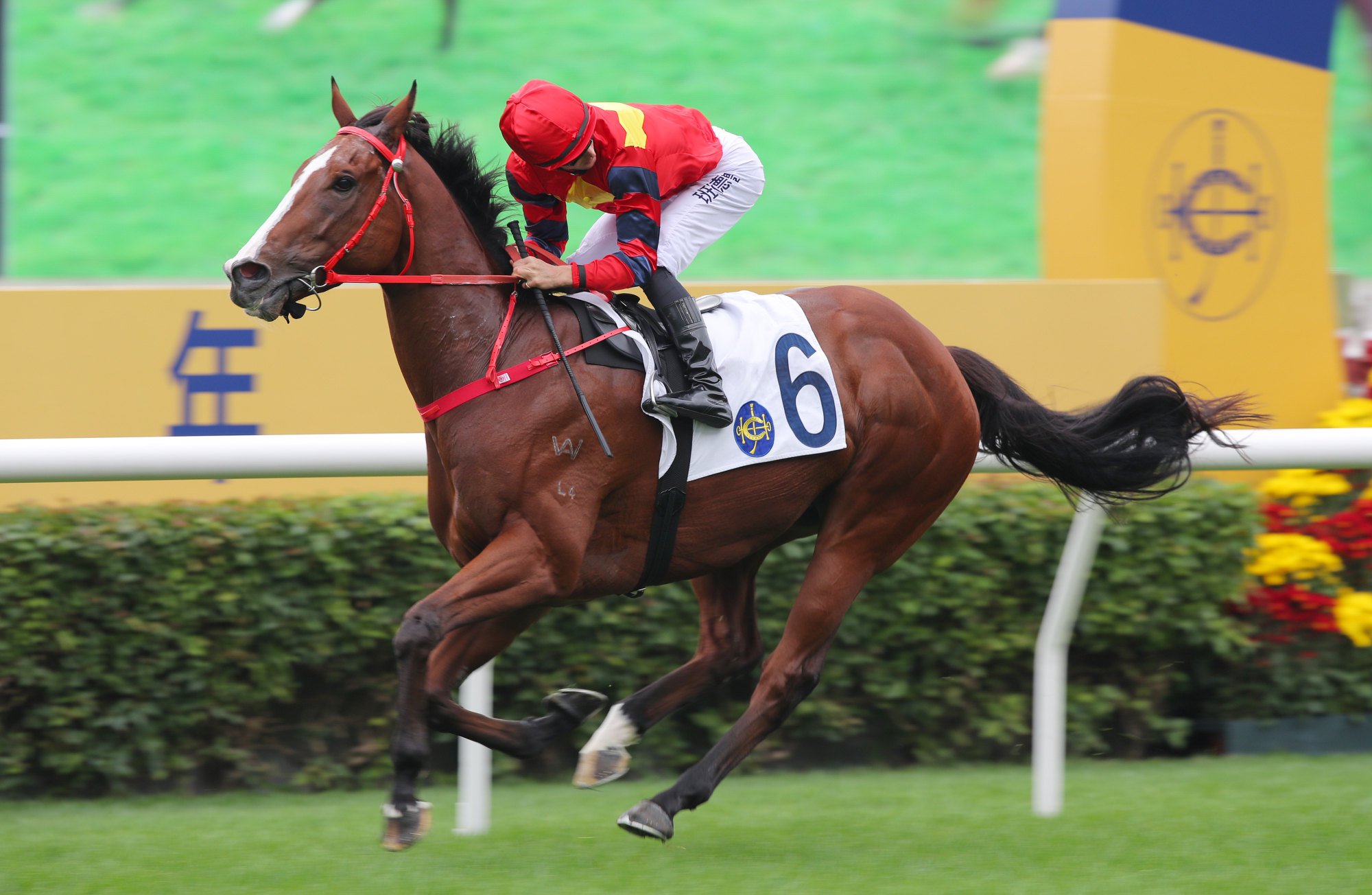 Harry Bentley peeks over his shoulder as Smart Golf bolts in. Harry Bentley peeks over his shoulder as Smart Golf bolts in.