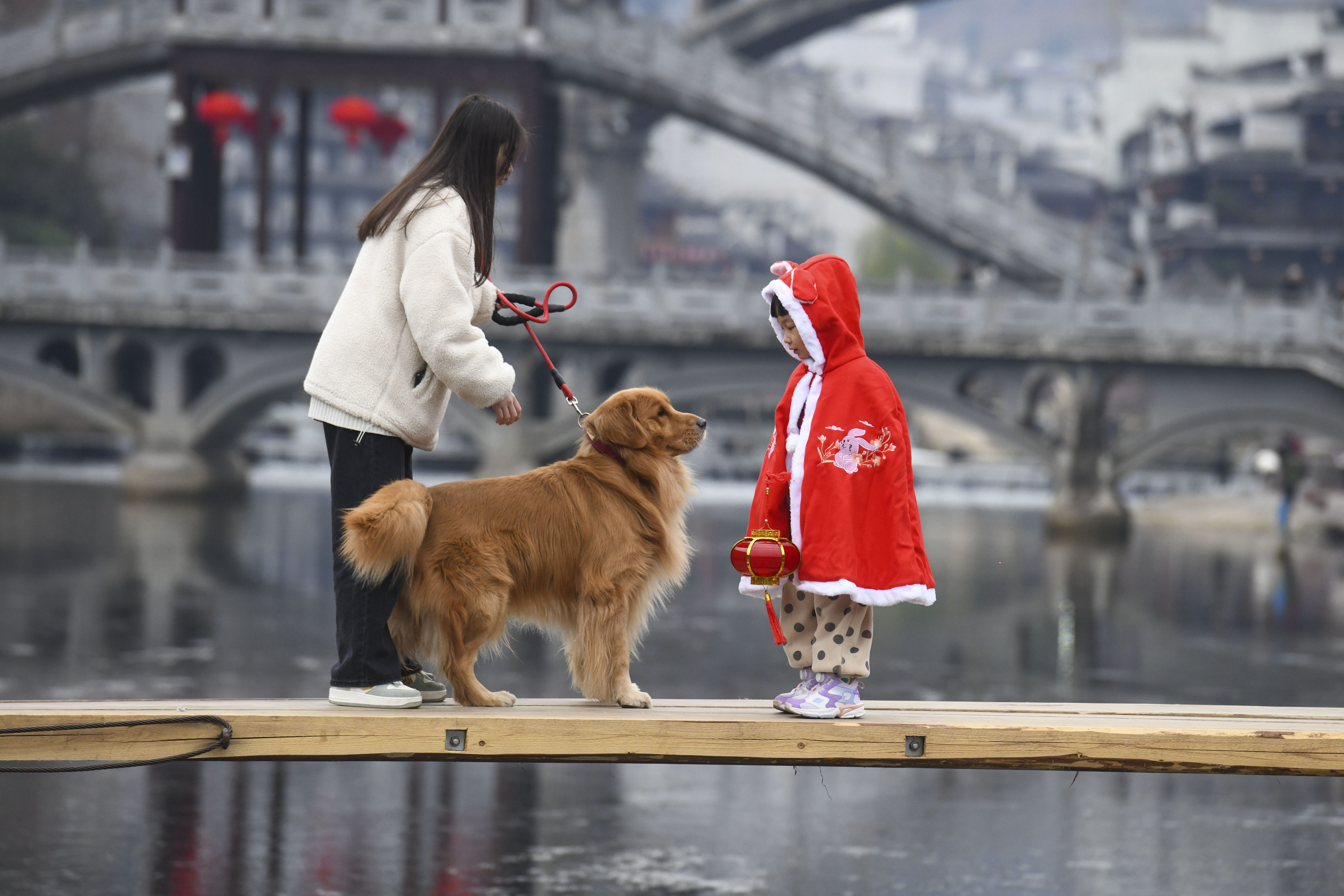 More Chinese travellers are pivoting from mass-market sightseeing to bespoke adventures, fuelling a surge in demand for pet-friendly itineraries and winter excursions. Photo: Getty Images