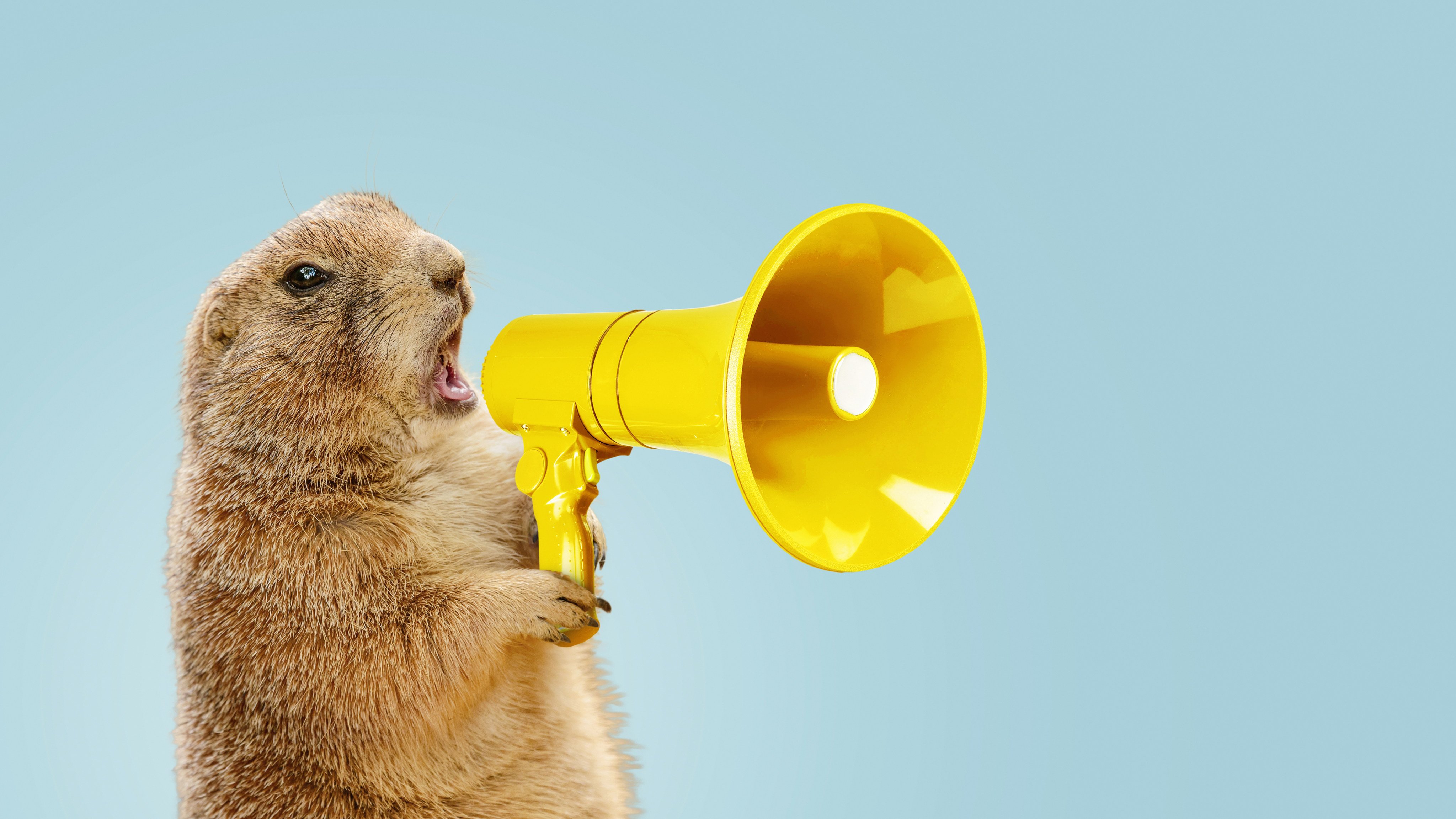“Hello, my name is Gopher! I would very much like to ask why you are not feeding me delicious food right now!” Photo: Shutterstock