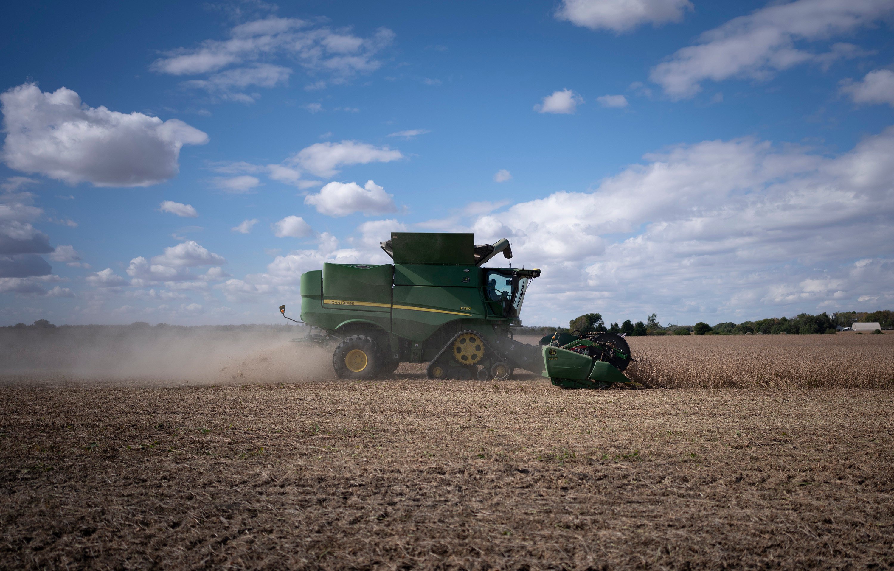 A combine harvests a soybean field in Tracy, Minnesota, in October. Photo: TNS