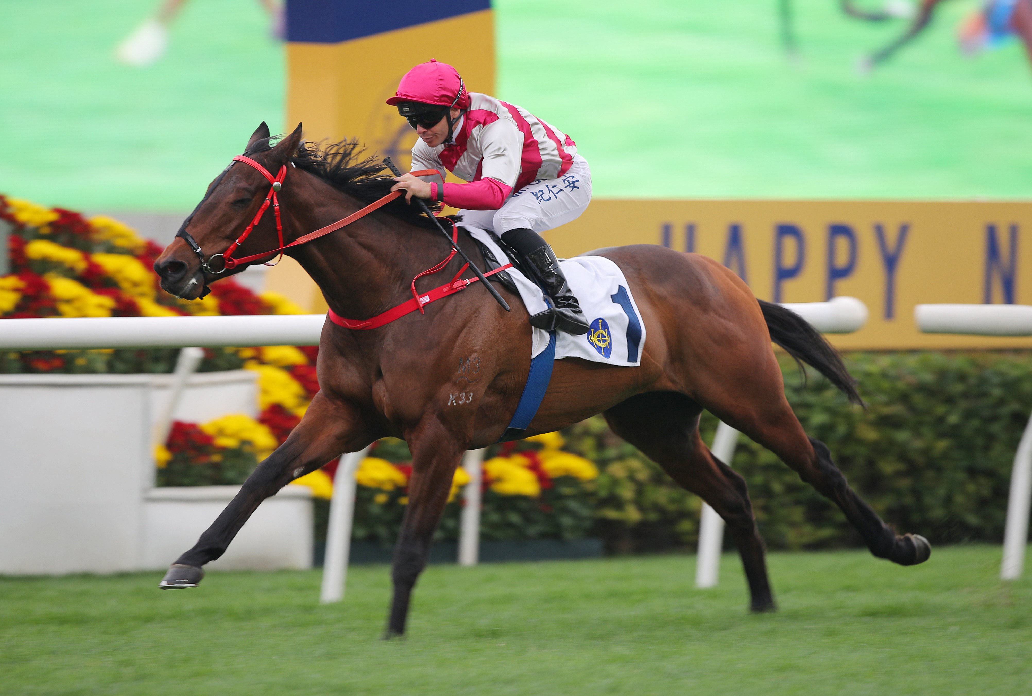 Endued wins at Sha Tin for John Size. Photos: Kenneth Chan