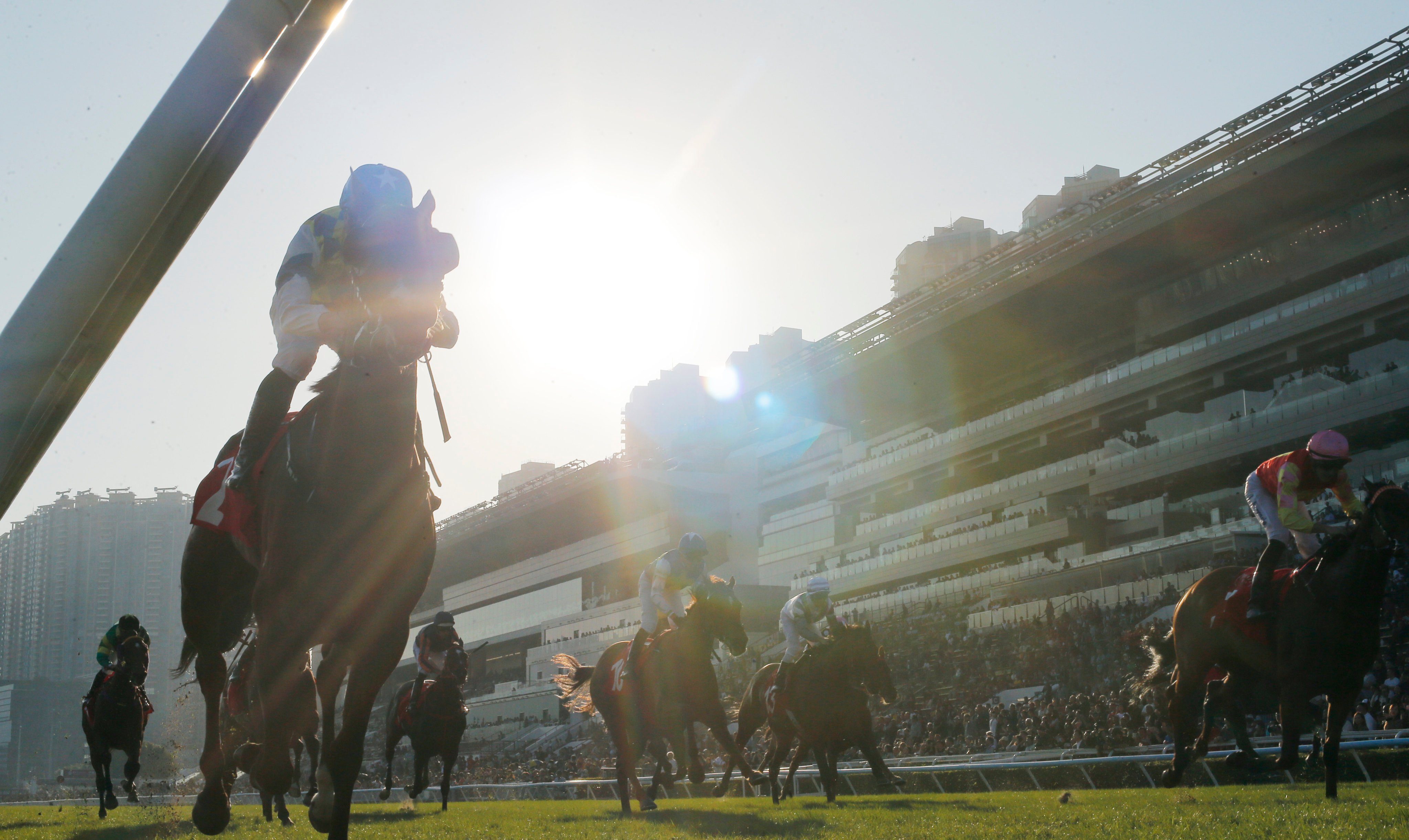 Horse racing is a Hong Kong tradition. Photo: Kenneth Chan.