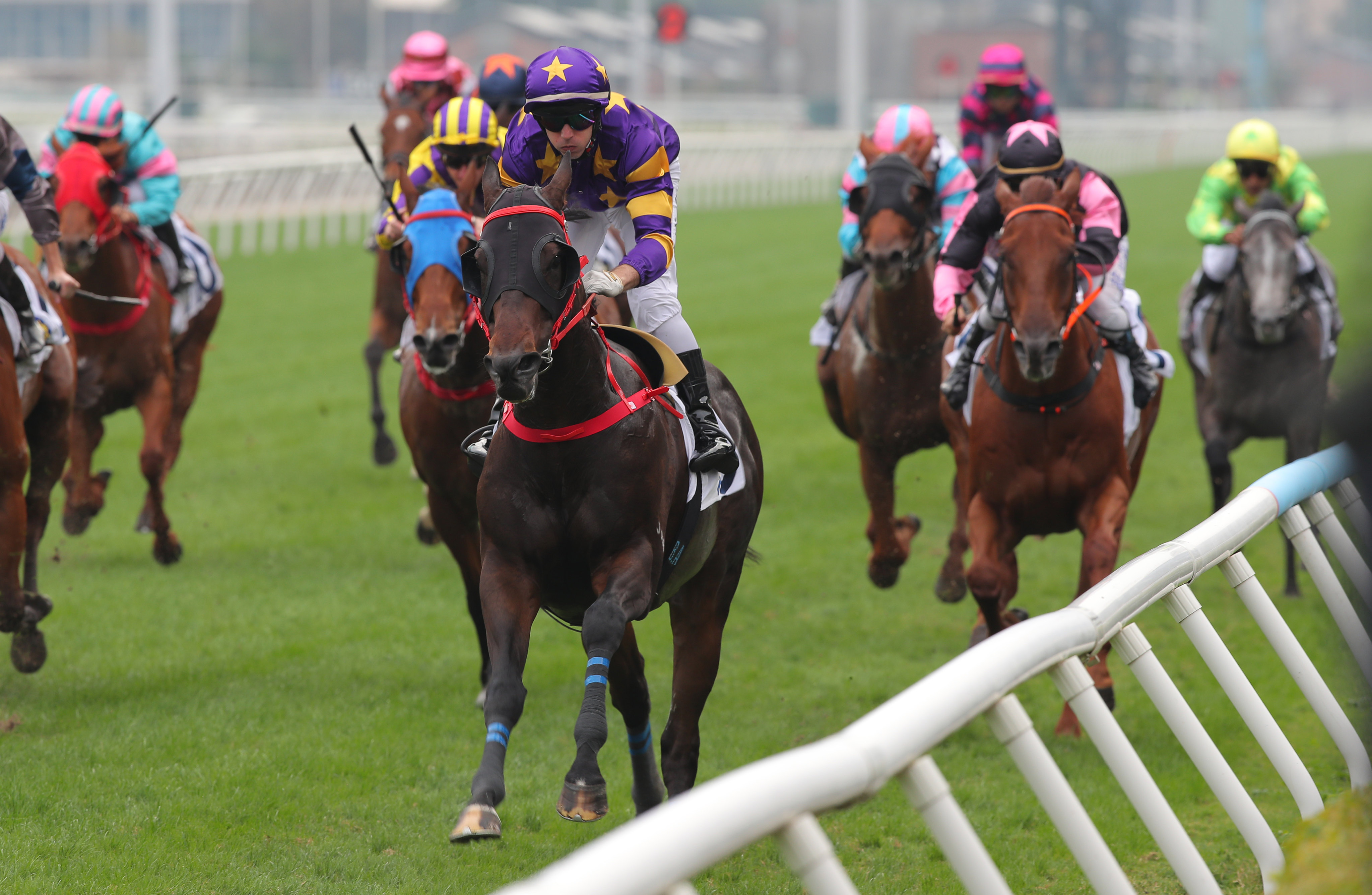 Stellar Express wins at Sha Tin in December. Photos: Kenneth Chan