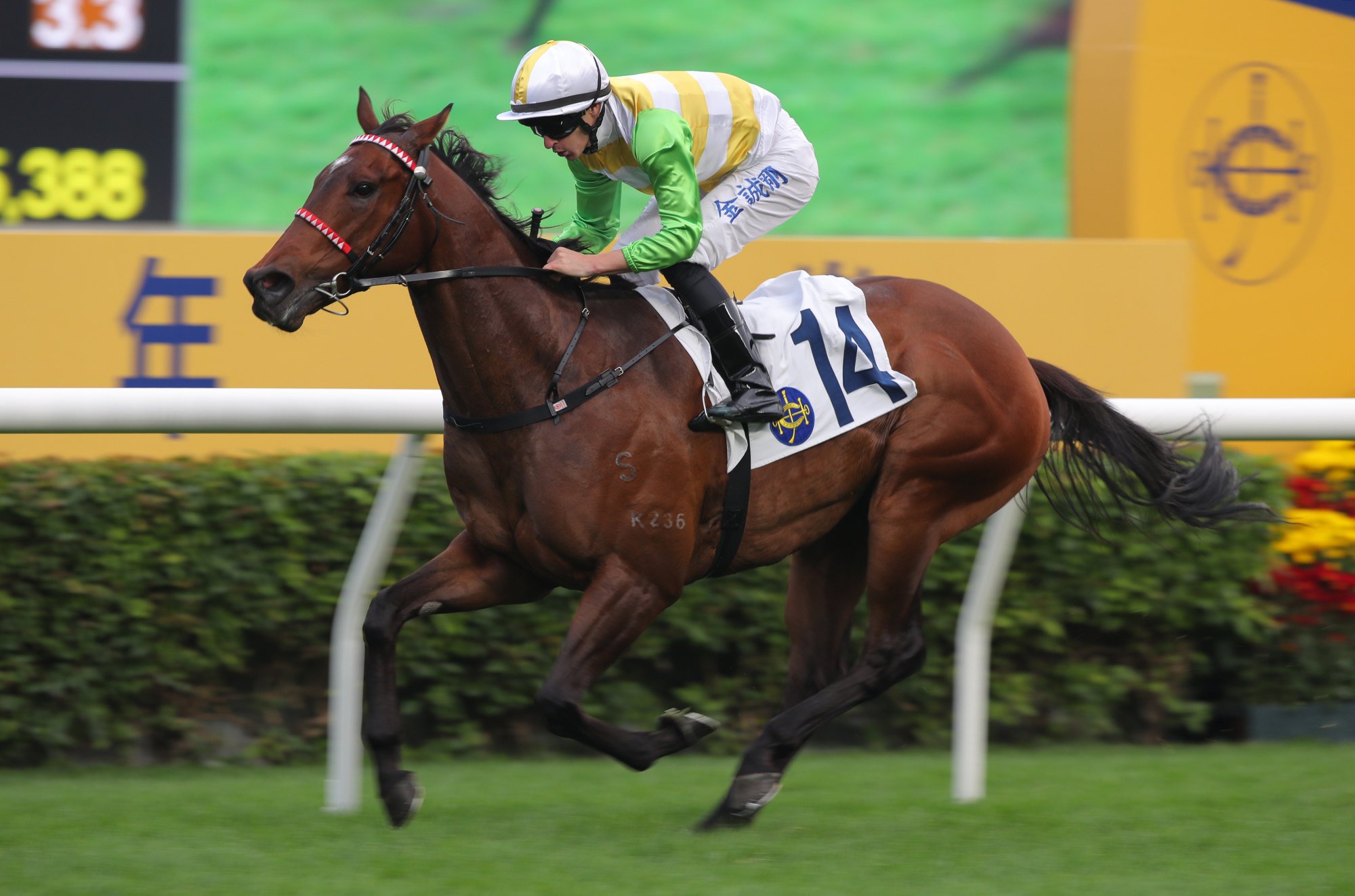 Rising Force bolts in under Richard Kingscote.