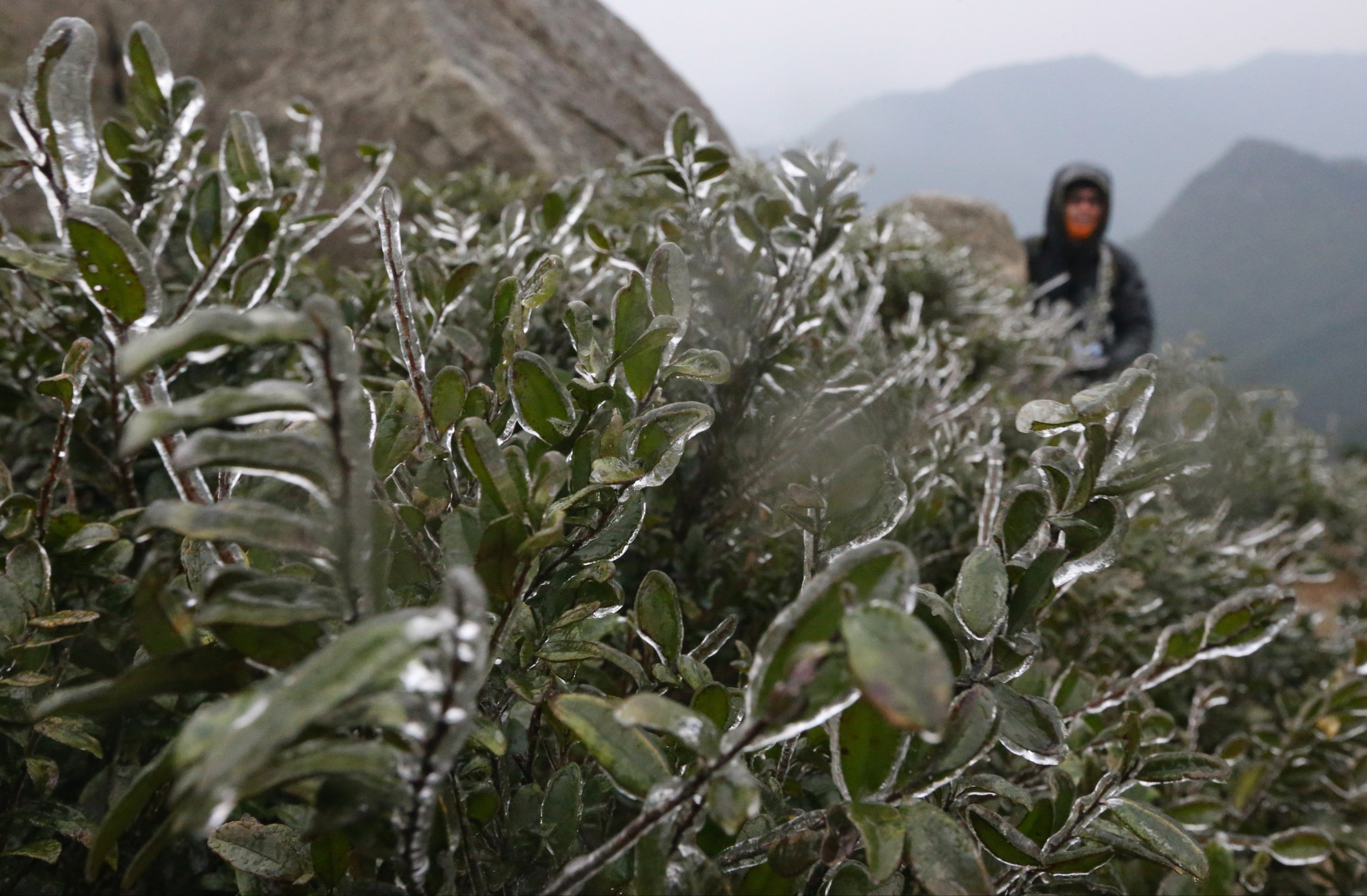 Visitors drawn to Tai Mo Shan to view frost and icicles. Photo: Felix Wong