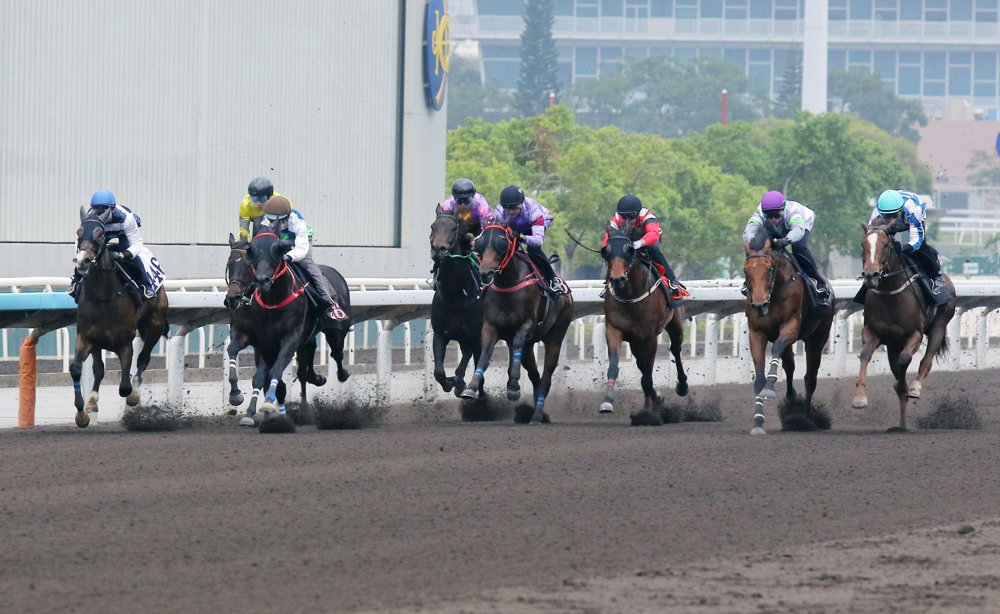 Winfield (far left) trials comfortably at Sha Tin.