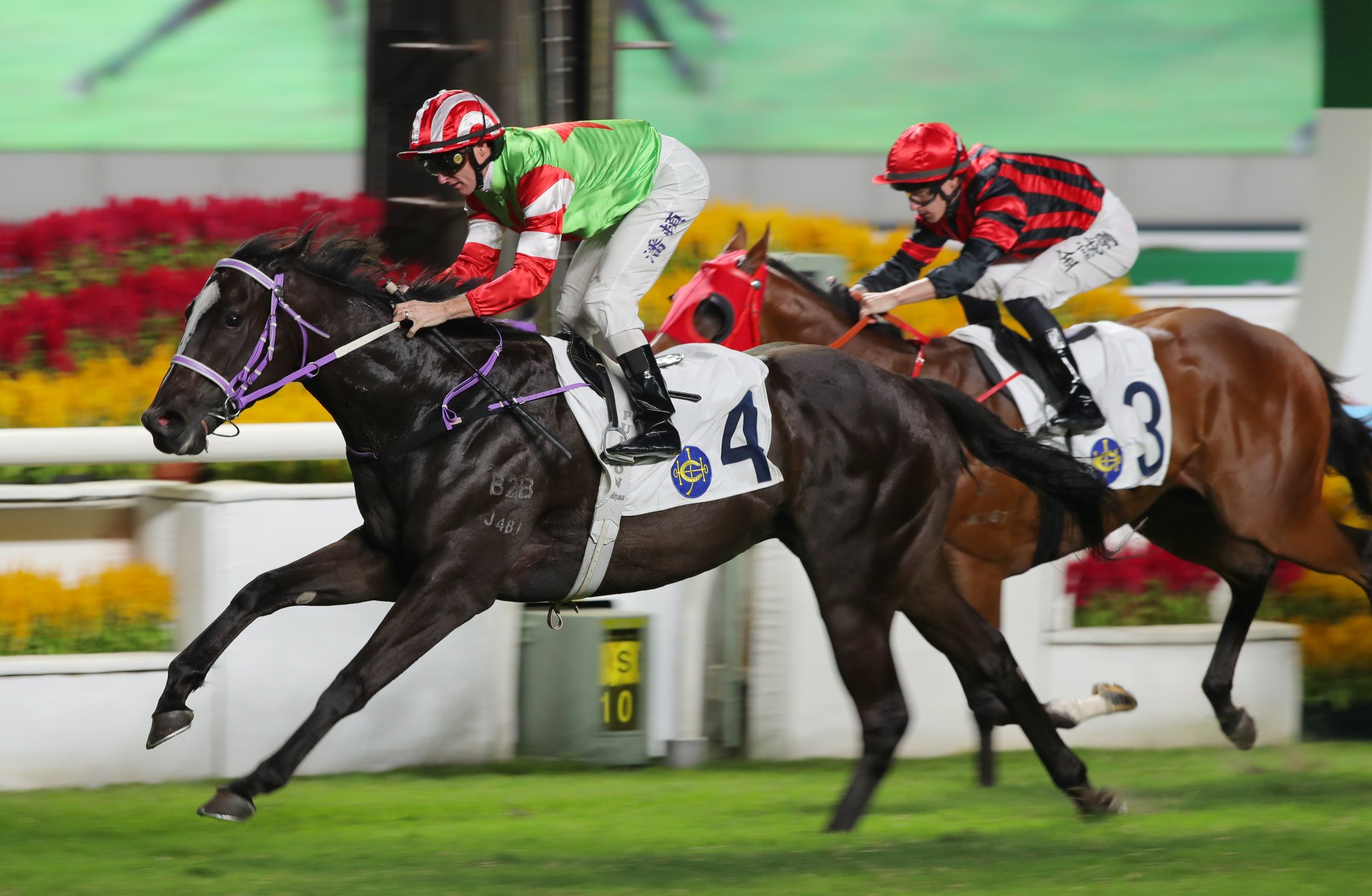 Top Dragon wins at Sha Tin in October.
