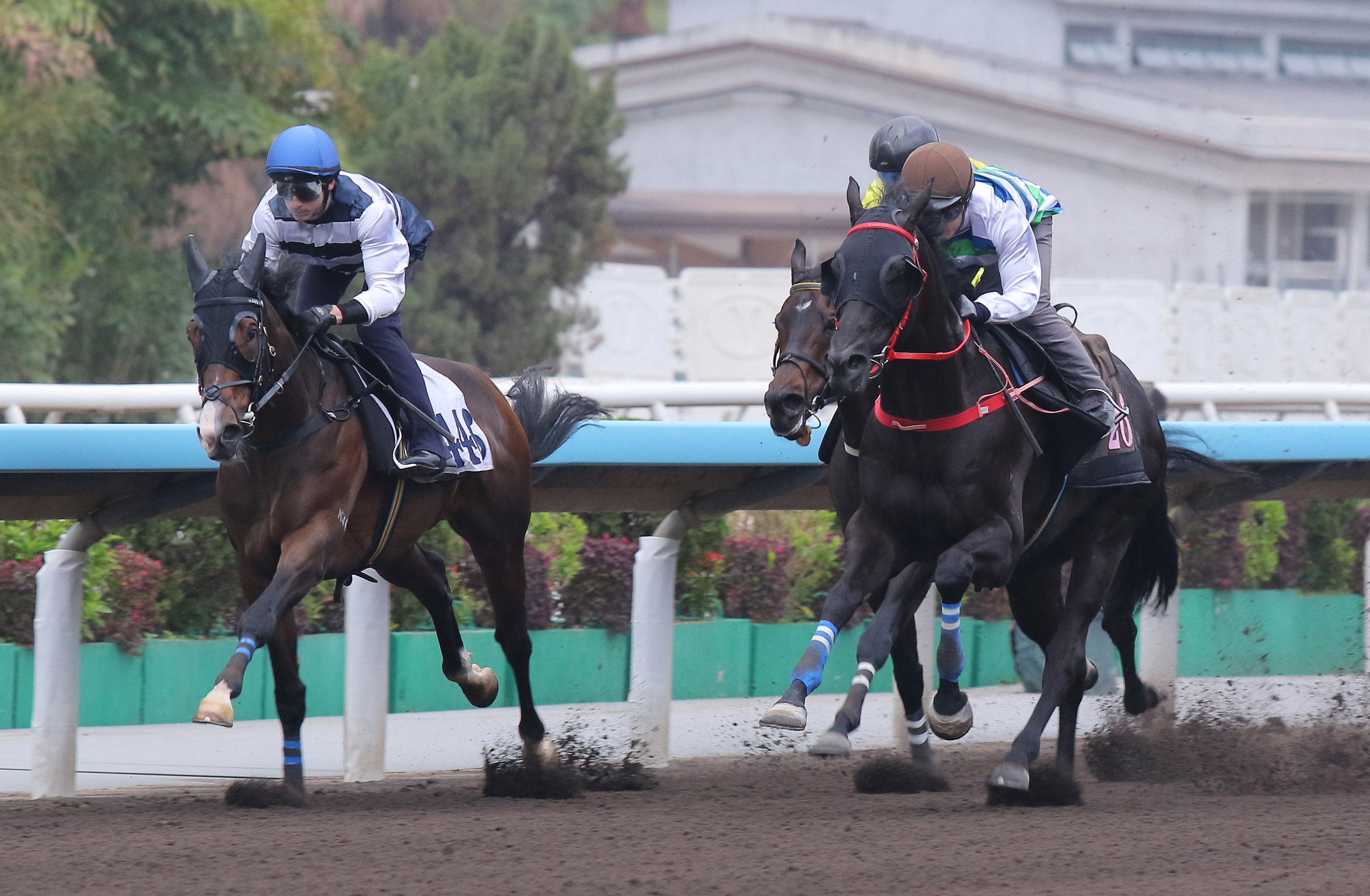 Winfield (left) trials at Sha Tin. Photos: Kenneth Chan