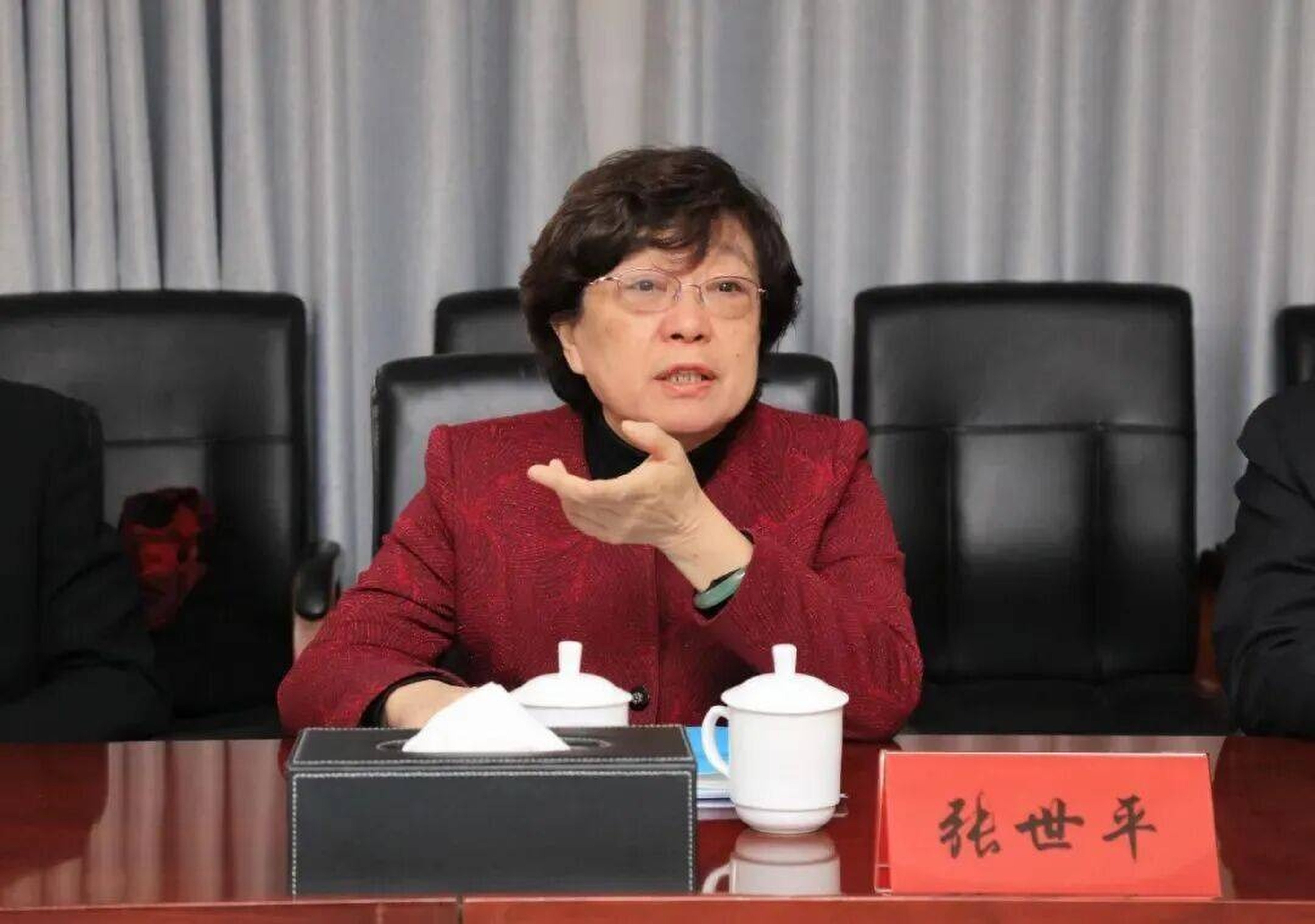 Zhang Shiping, former vice-chairwoman of the All-China Federation of Trade Unions, is the 65th high-ranking official to be ensnared in President Xi Jinping’s anti-corruption crackdown in 2025. Photo: Handout