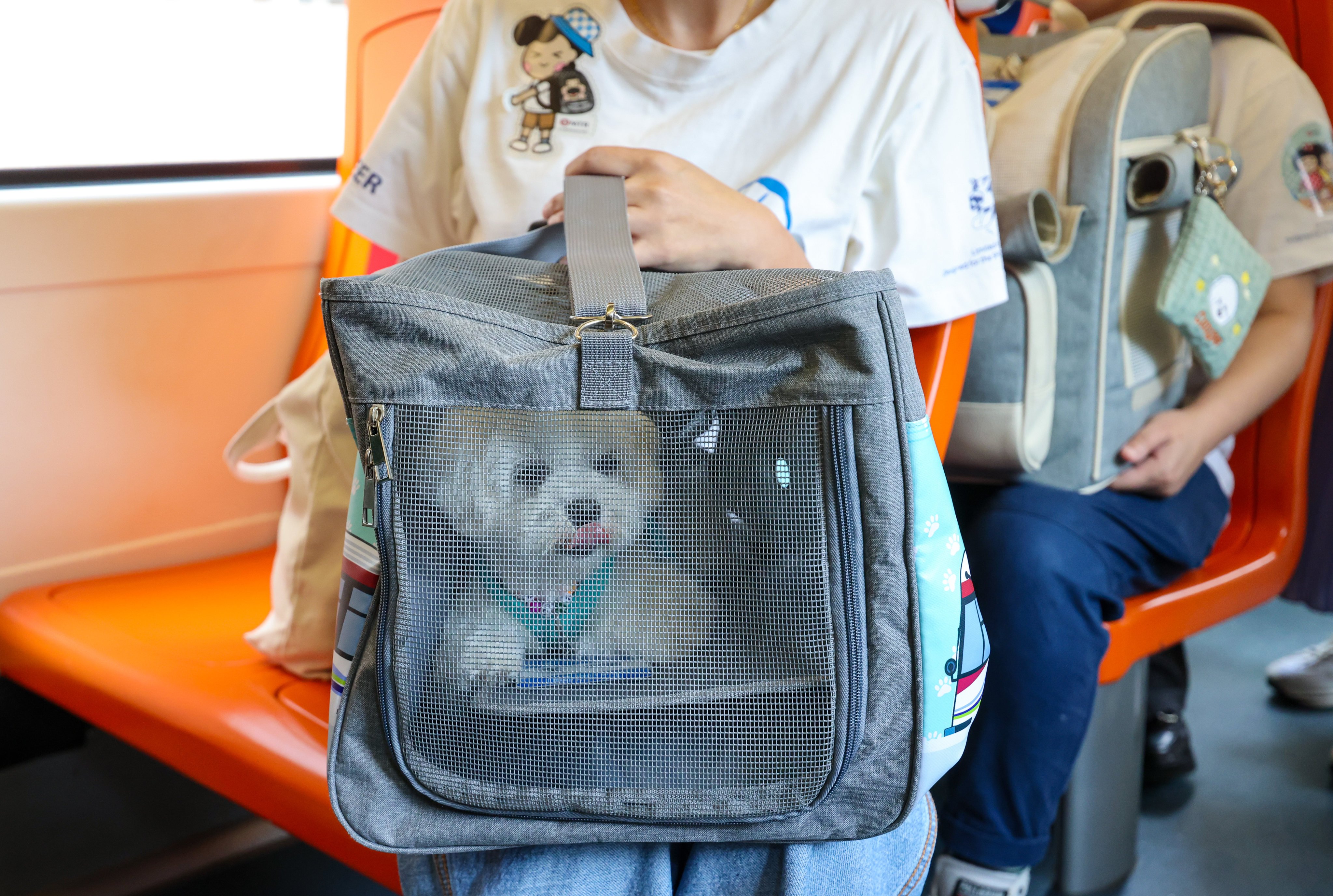 A dog travels on the Light Rail line as part of a scheme introduced last year. Photo: Jelly Tse