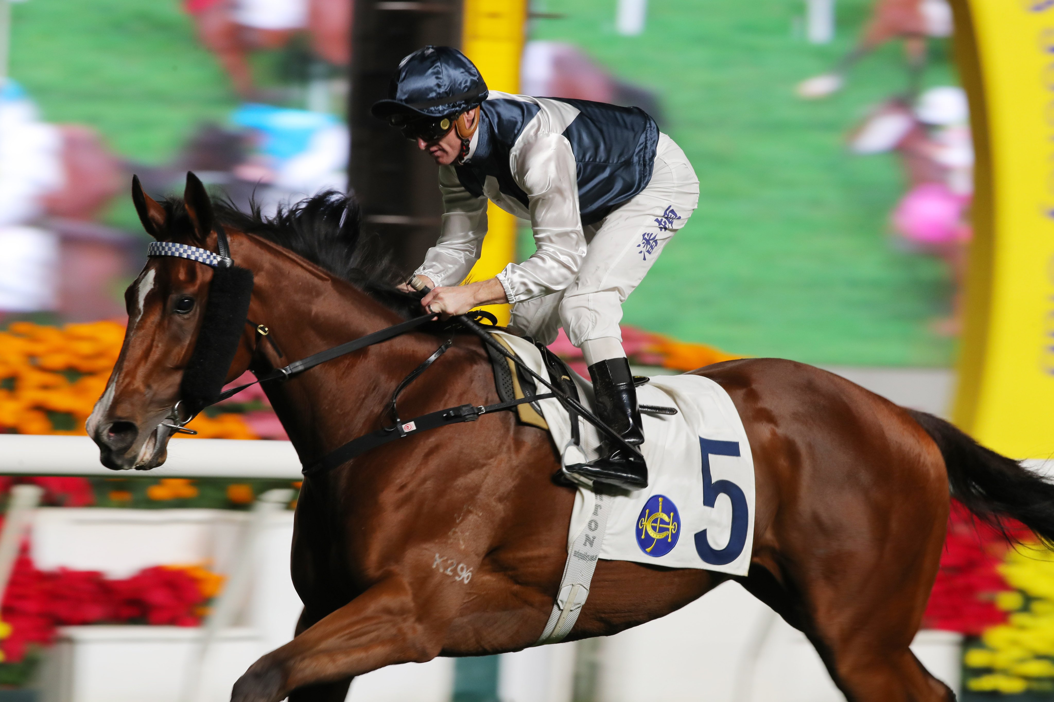 Zac Purton guides Invincible Ibis to a third straight triumph last month. Photos: Kenneth Chan