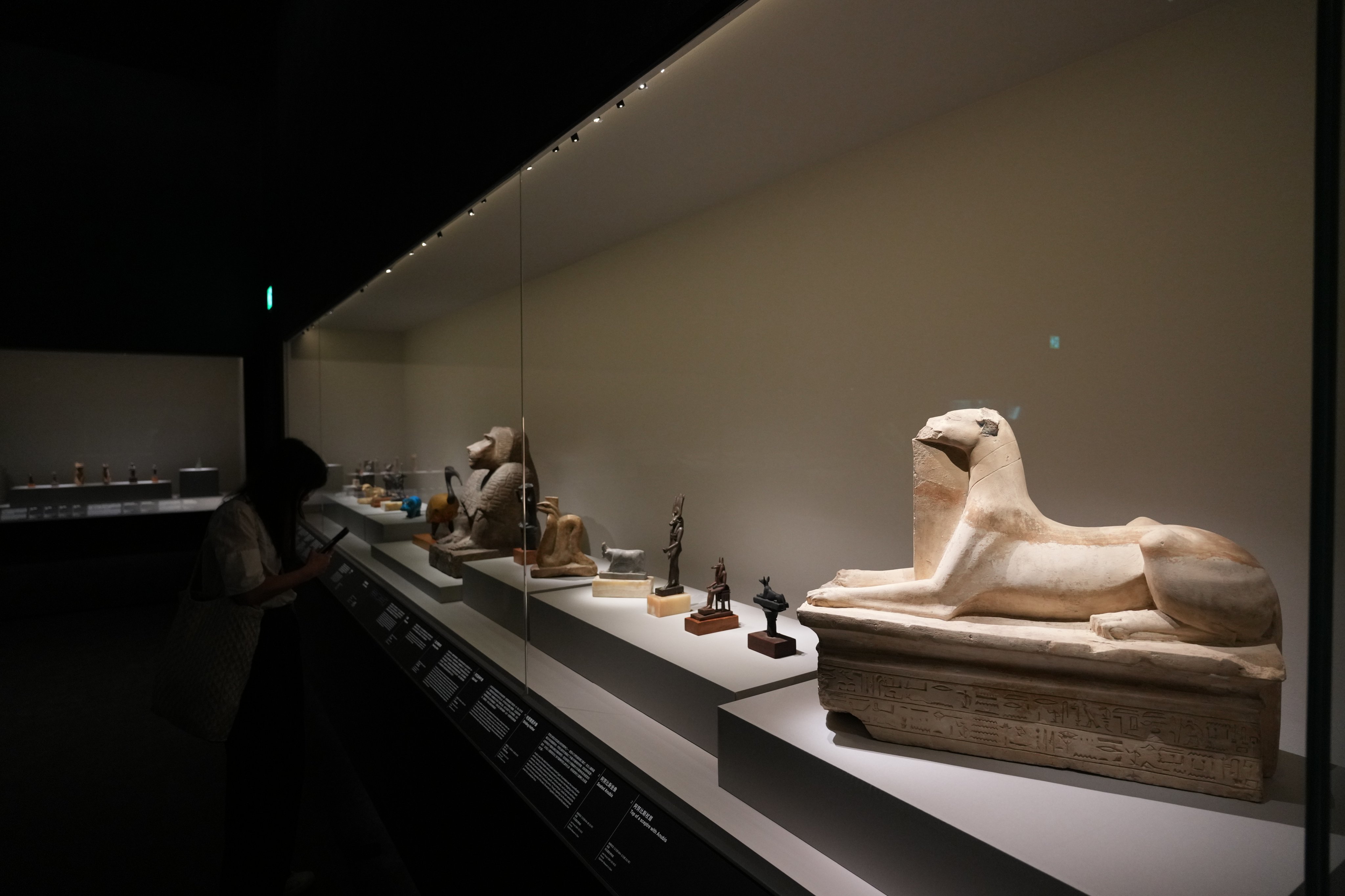 Discover Egypt’s treasures at Hong Kong Palace Museum’s largest exhibition, featuring 250 relics, including Tutankhamun’s artefacts and mummified pets. Photo: Sam Tsang