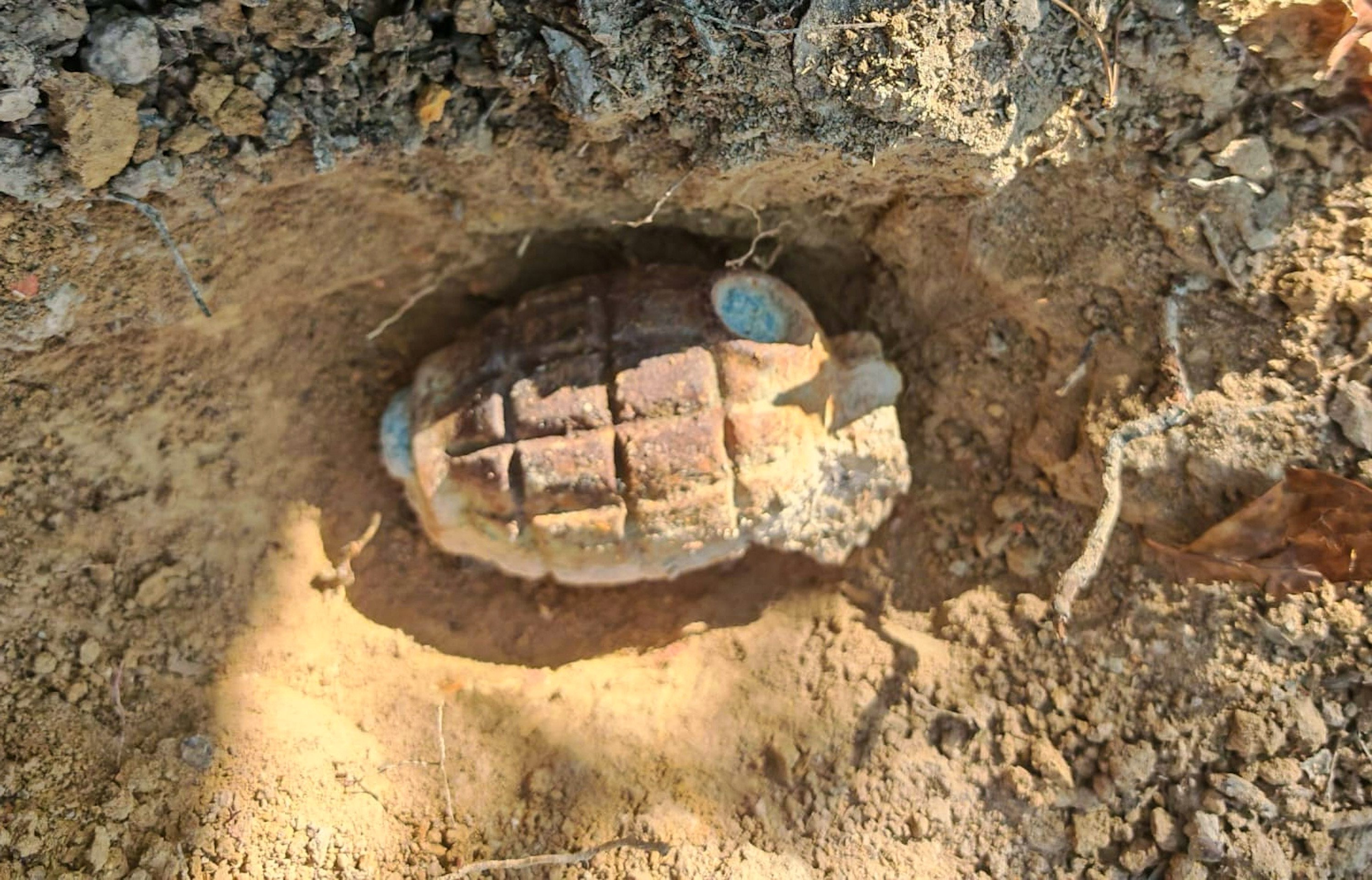 A World War II British grenade was discovered on Wednesday morning in Aberdeen Country Park. Photo: Handout