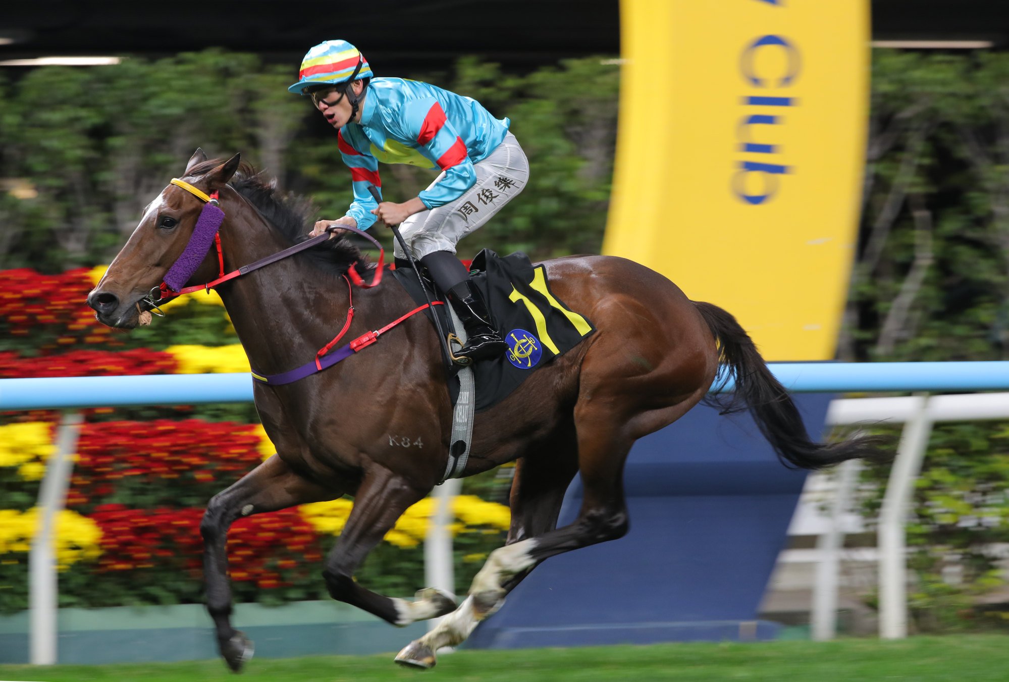 Jerry Chau celebrates on Stormi.