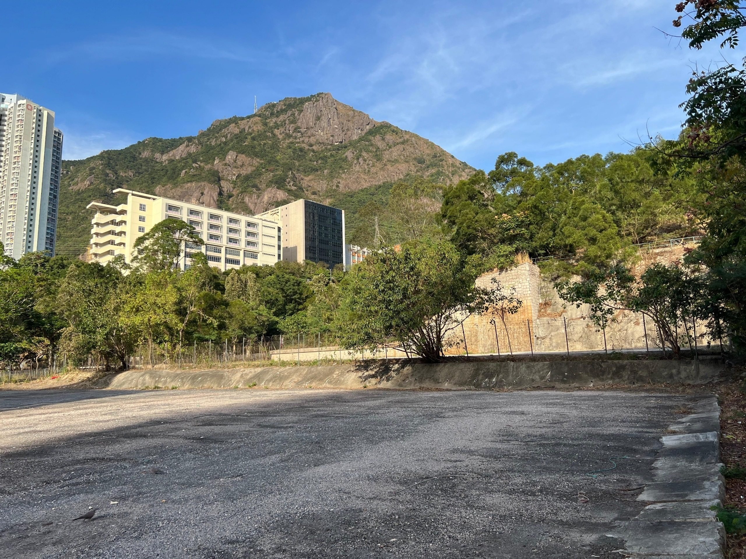 Sino Land says the site will benefit from an extensive transport network and strong connectivity to major commercial hubs. Photo: Jelly Tse