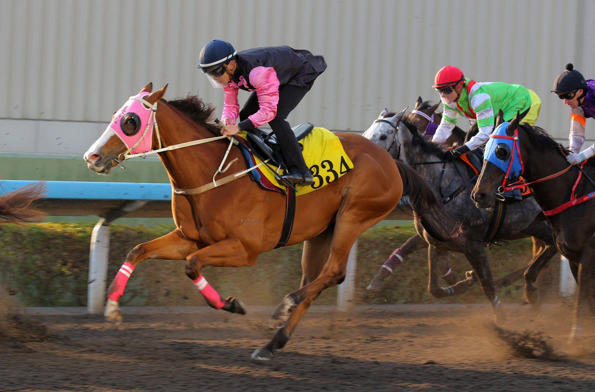 Beauty Crescent in action in a recent dirt trial.