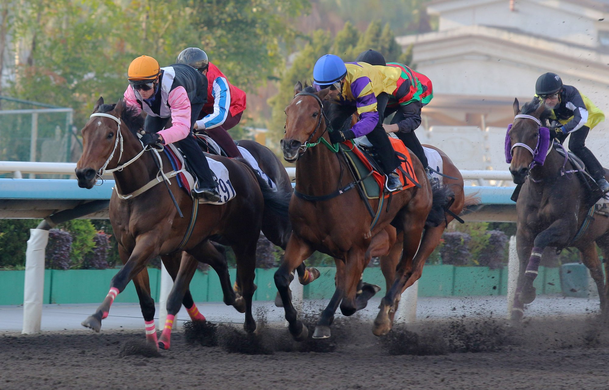 Beauty Bolt wins a recent dirt trial.
