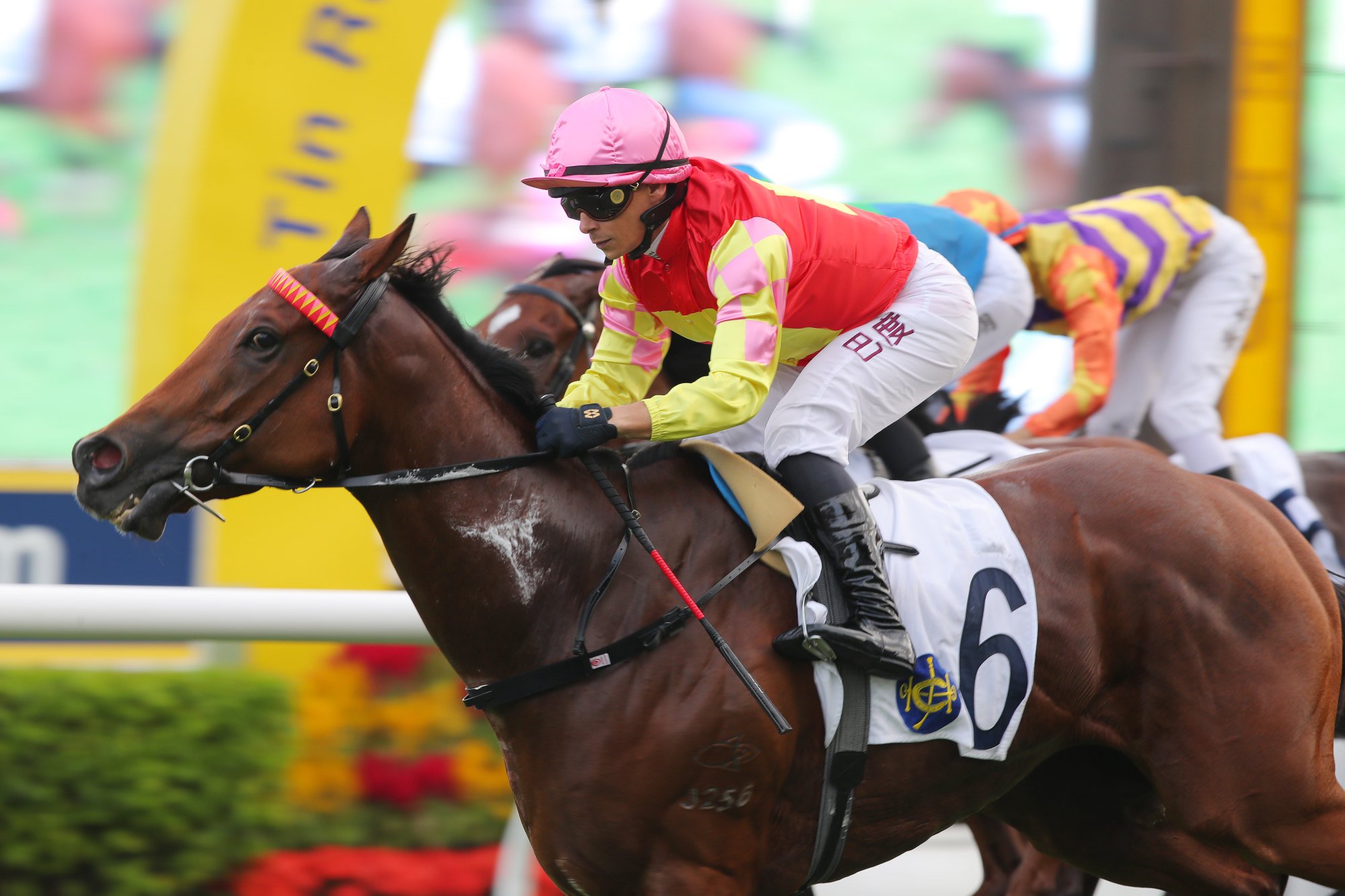 Alexis Badel wins on My Wish.