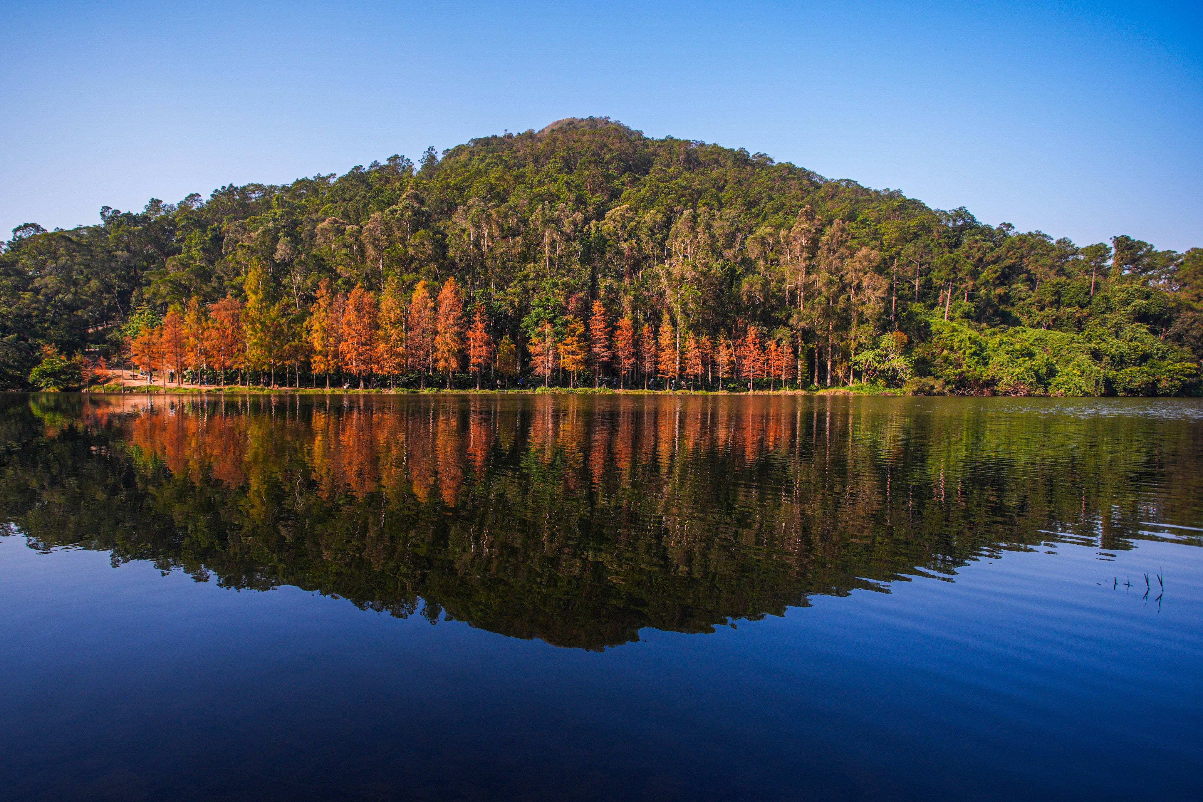 The scenic Lau Shui Heung Reservoir is also known as a “mirror of the sky”, with still, shimmering waters that reflect the surrounding landscapes. Photos: Eugene Lee