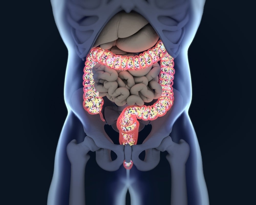 The gut microbiome performs all manner of important jobs, including breaking down fibre and starches, synthesising vitamins and amino acids such as vitamins B and K, and producing short-chain fatty acids (SCFA) that help prevent disease. Photo: Shutterstock