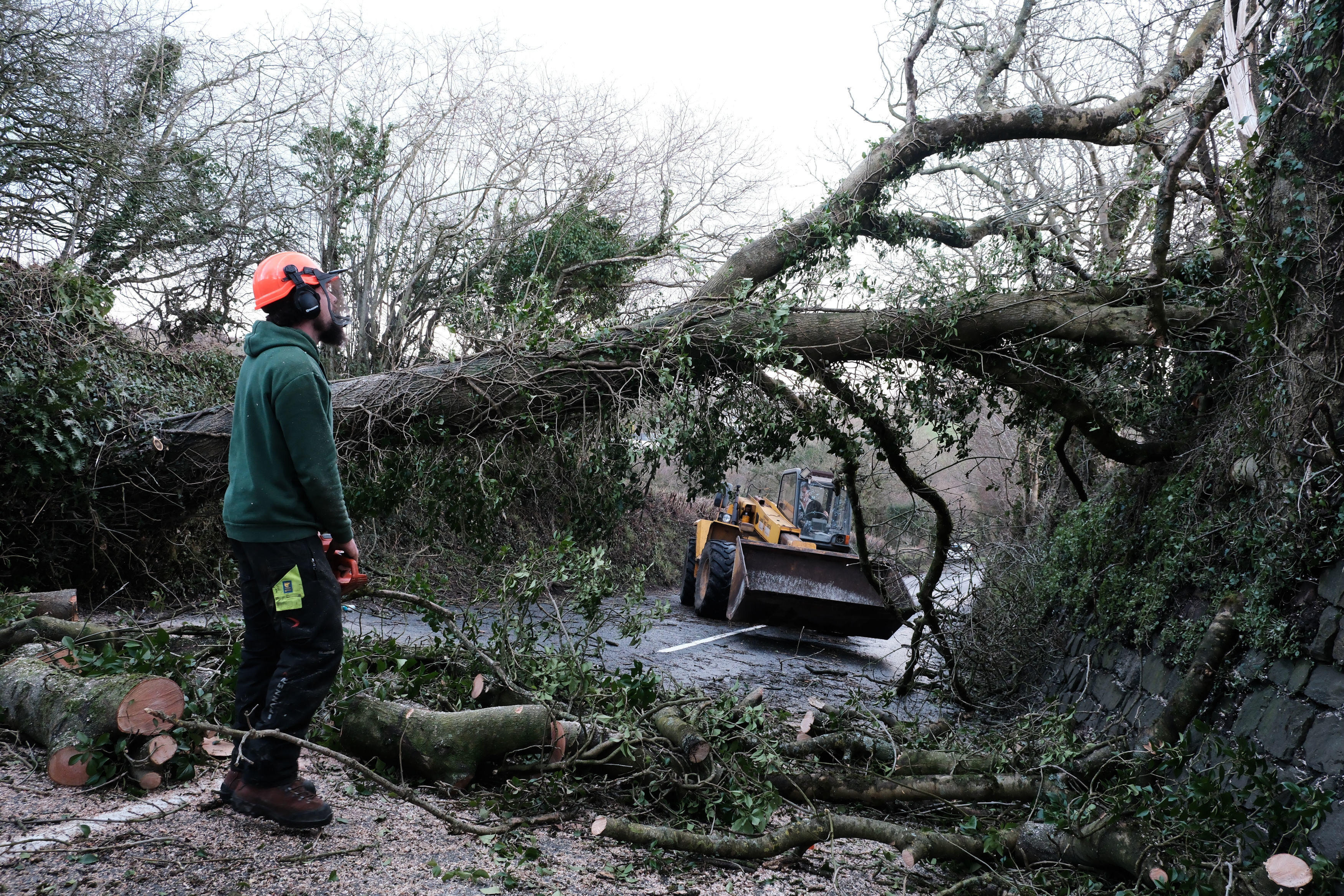 A fallen tree is cleared from a road in St Stephen, Cornwall, England, on Friday as Storm Goretti continues to batter the United Kingdom. Photo: PA via AP