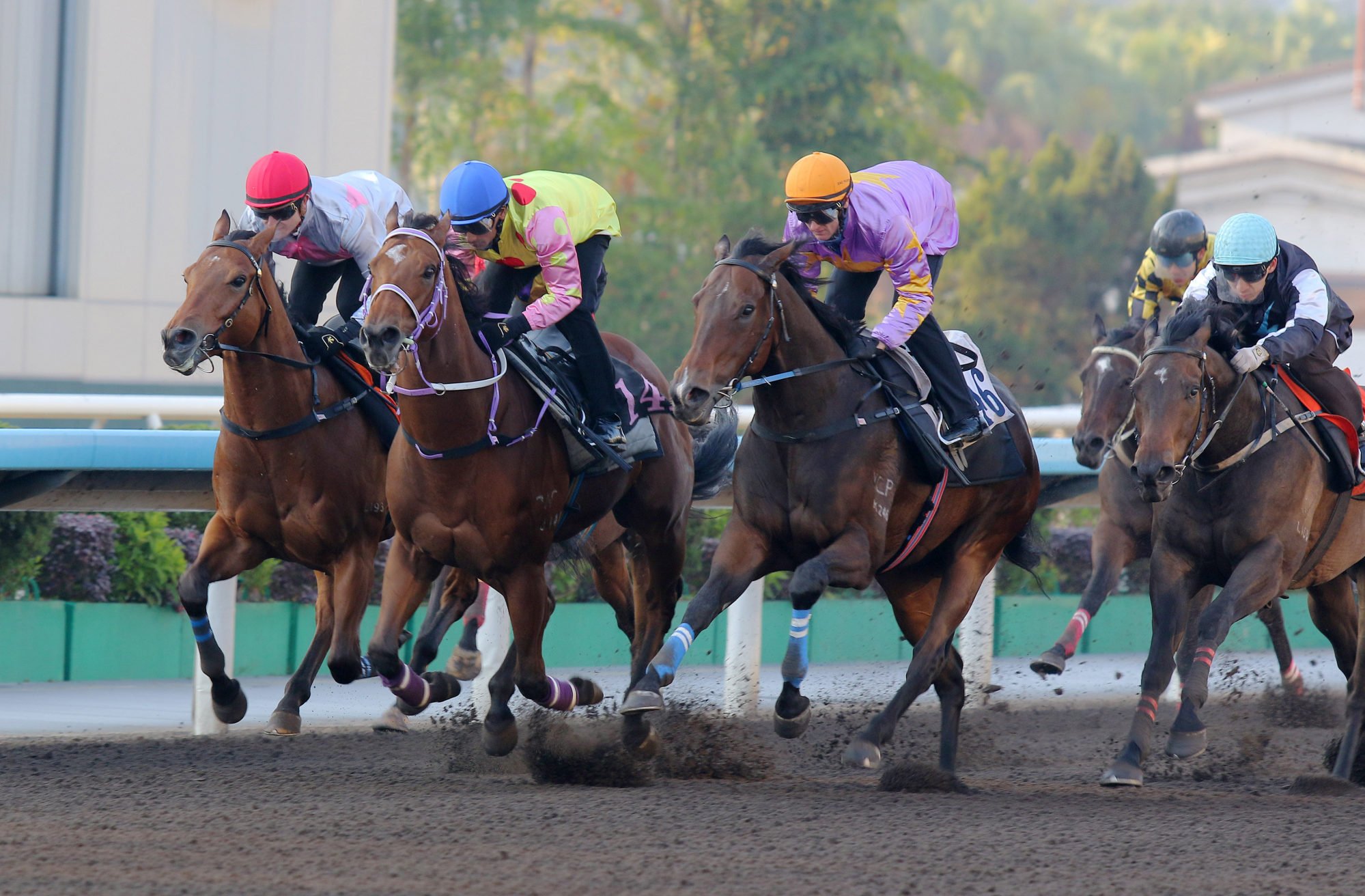 Little Paradise (orange cap) trials at Sha Tin last month.