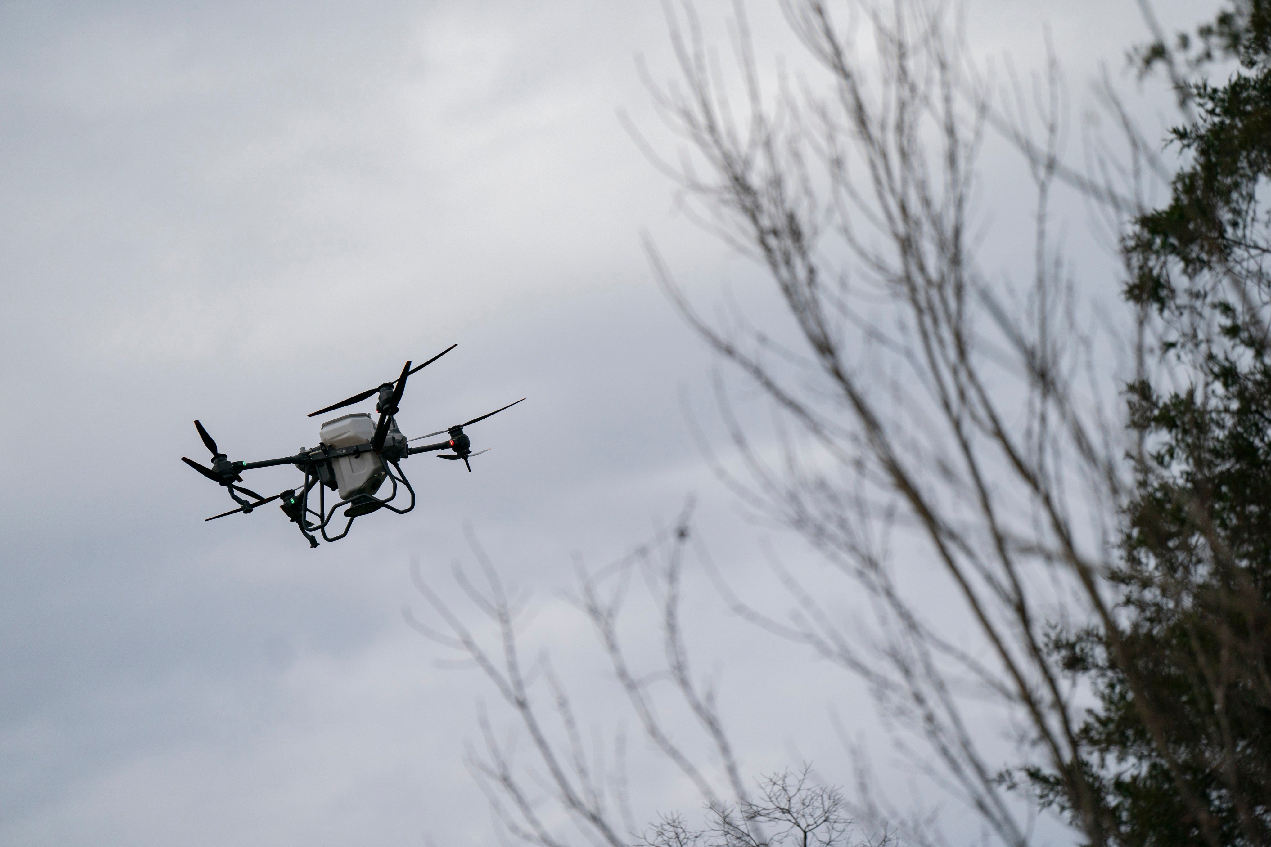 A US farmer uses a DJI drone to put crop cover on his farm in Hickory, North Carolina, in December2024. Photo: AP