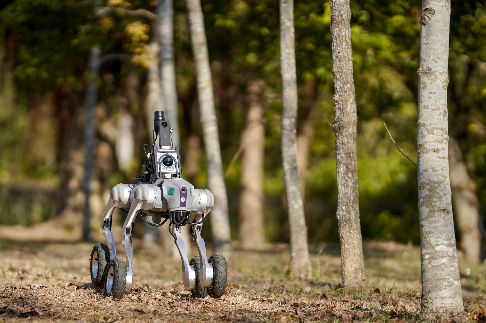 A robot dog equipped with lidar technology conducts tree surveys at Hong Kong Wetland Park. Photo: Karma Lo