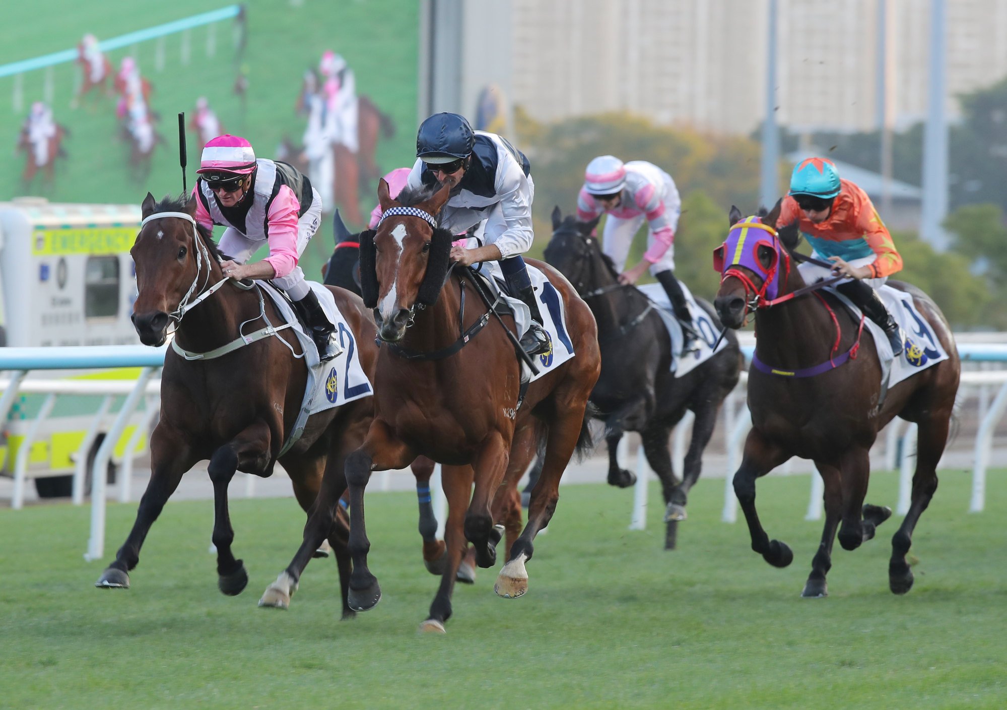 Beauty Bolt (inside) finishes second to Invincible Ibis last Sunday.