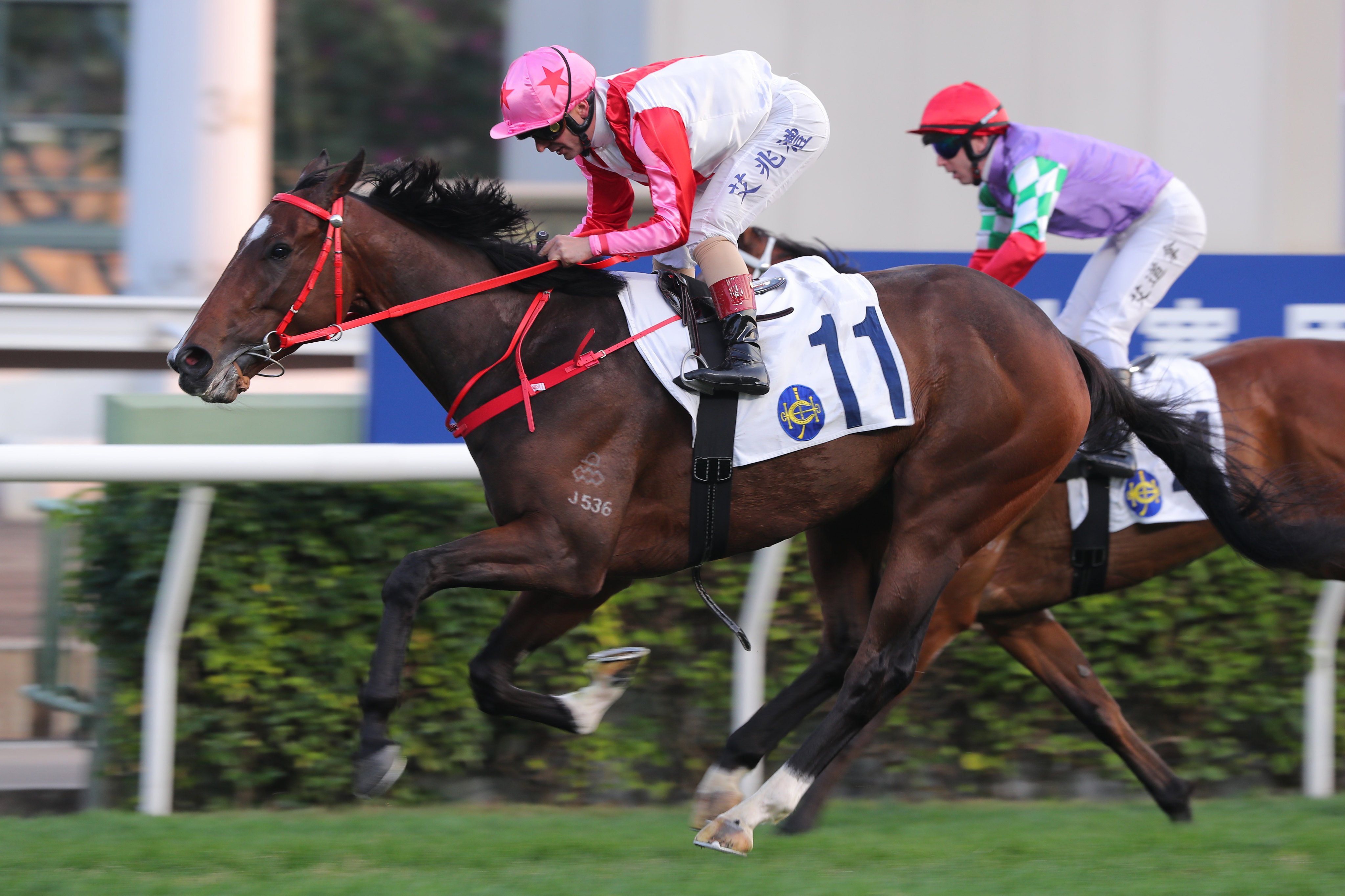 When it comes to naming horses, some breeders and owners get creative by choosing names linked to wealth, luck or health. Photo: Kenneth Chan.