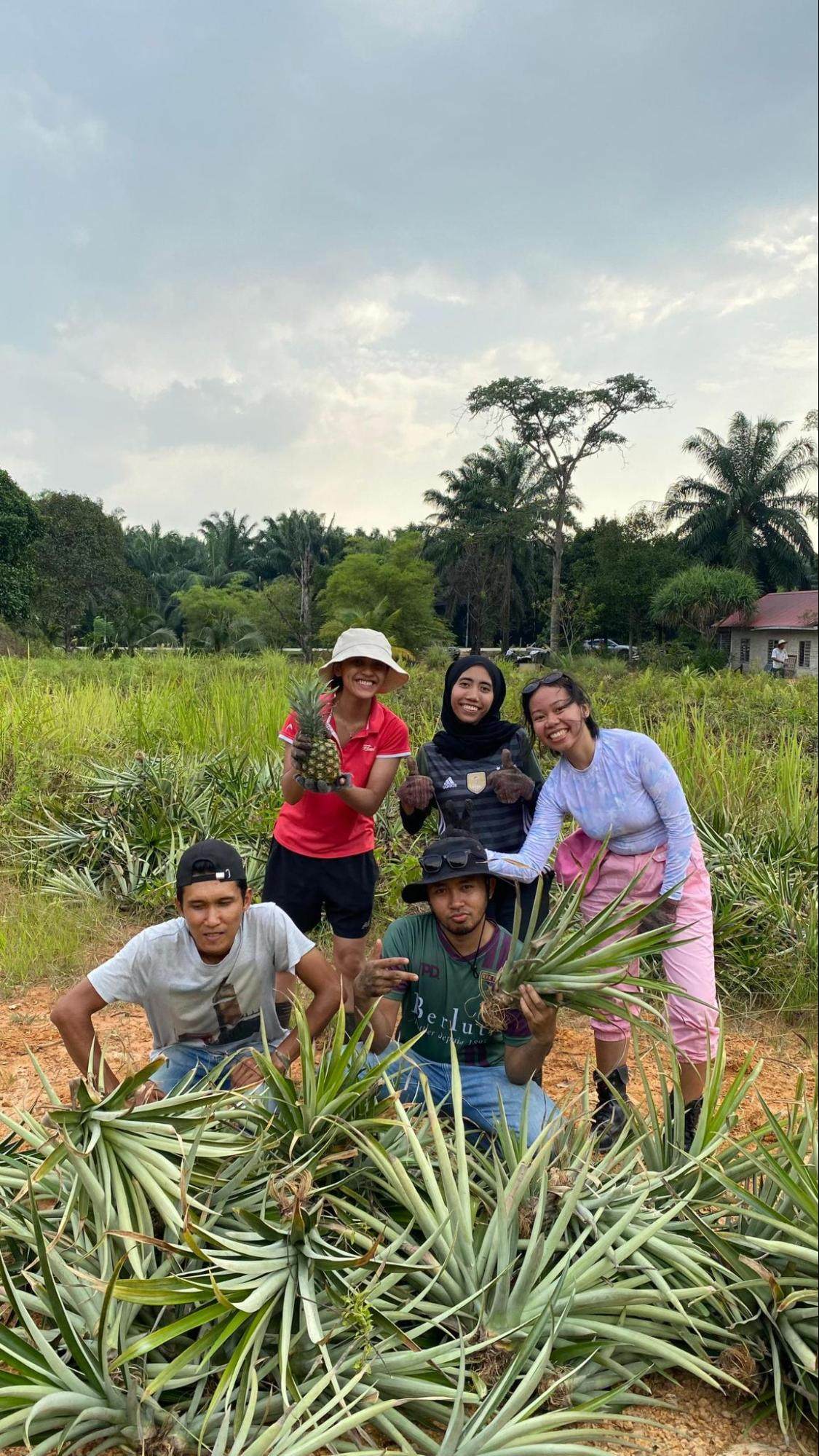 Once seen as an unlikely career path for university graduates, farming is quietly being rebranded across Southeast Asia. Photo: Ushar Daniele
