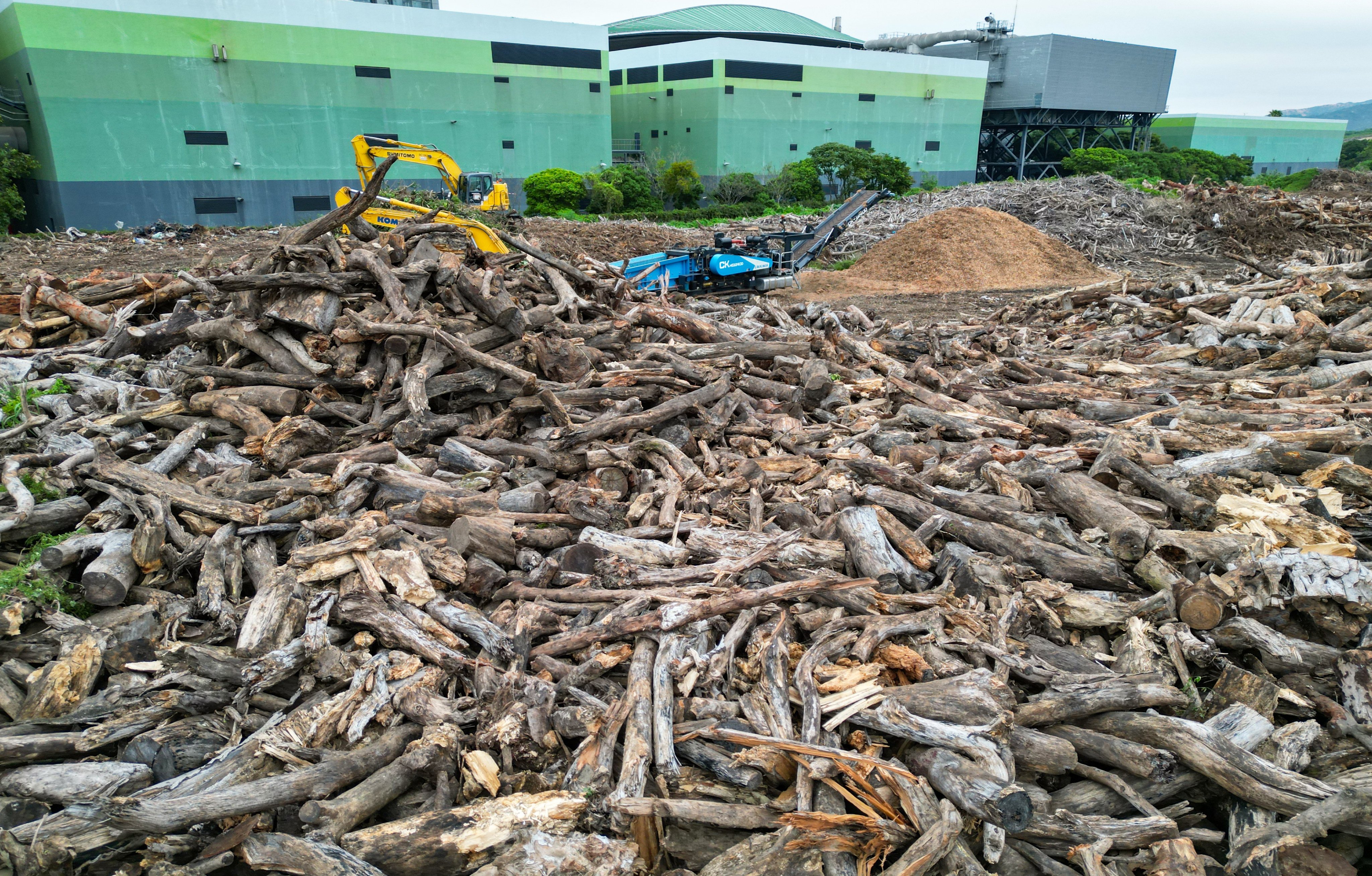A wood chipping machine amid piles of tree trunks at Y·Park yard waste recycling plant in Tuen Mun. Photo: Dickson Lee