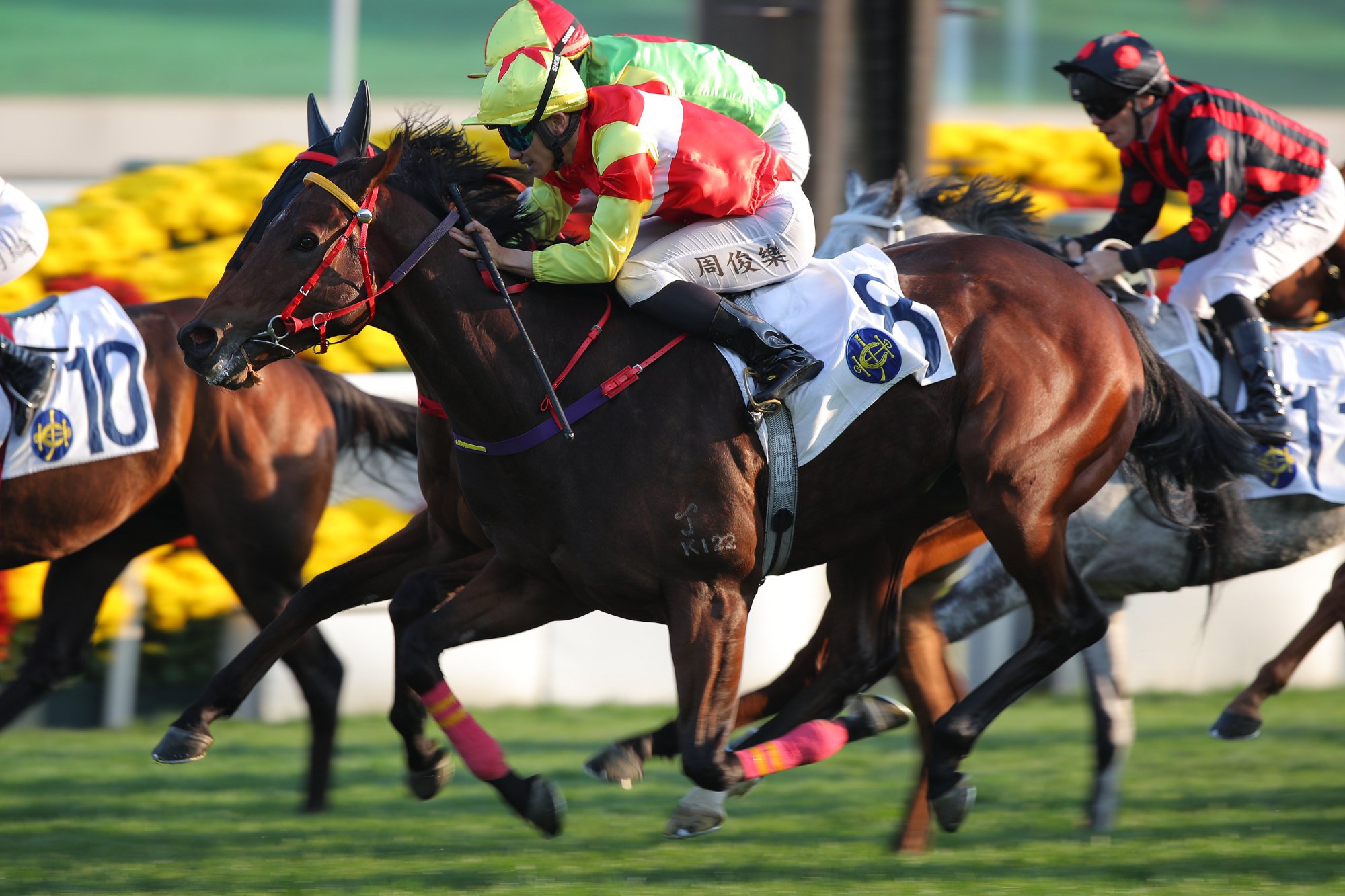 Emblazon gets up for a thrilling win.