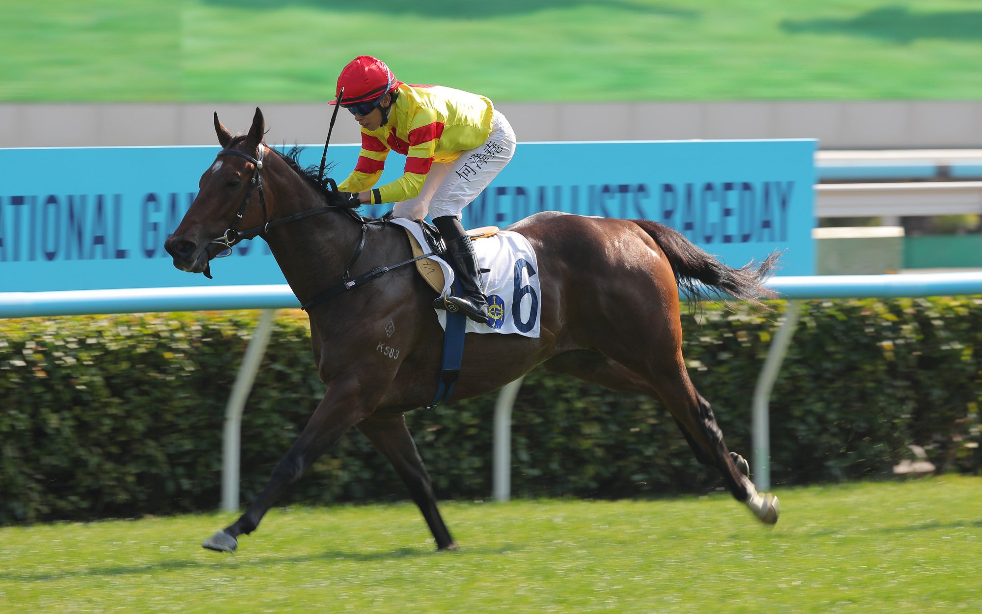 Hot Delight surges clear to score on debut.