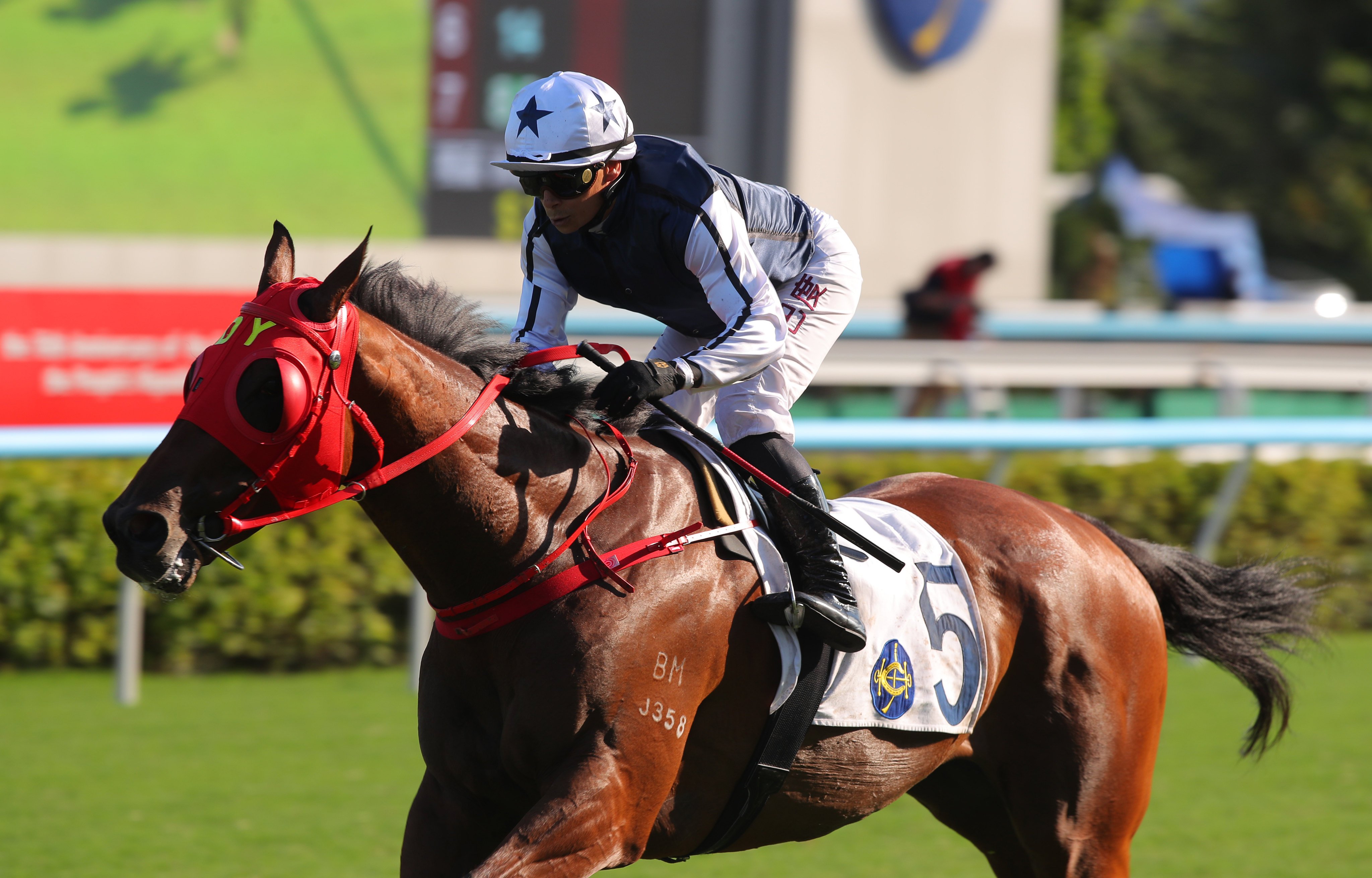 Alexis Badel guides Fast Network to victory in the National Day Cup. Photos: Kenneth Chan