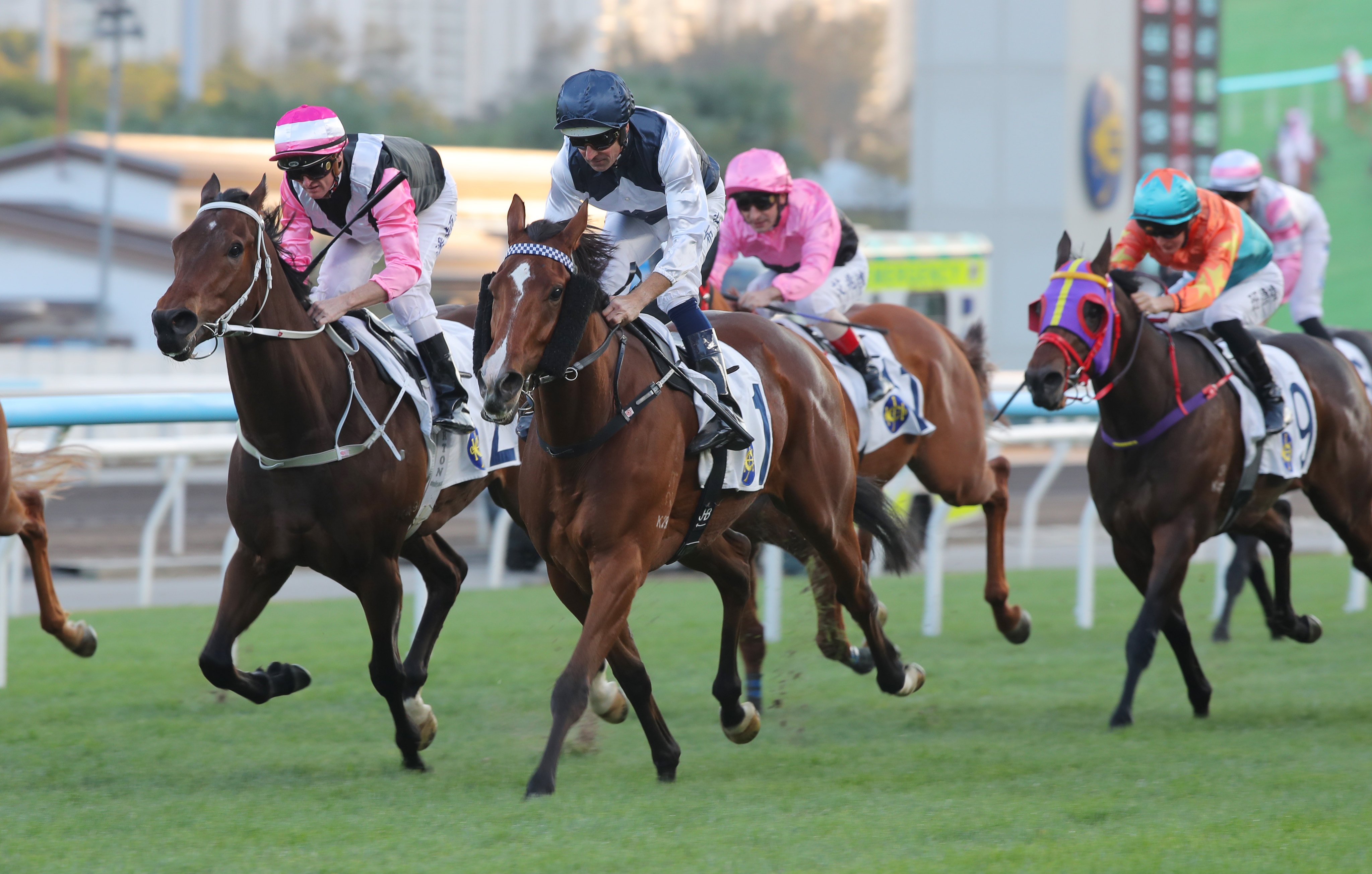 Invincible Ibis runs down Beauty Bolt to win impressively earlier this month. Photos: Kenneth Chan